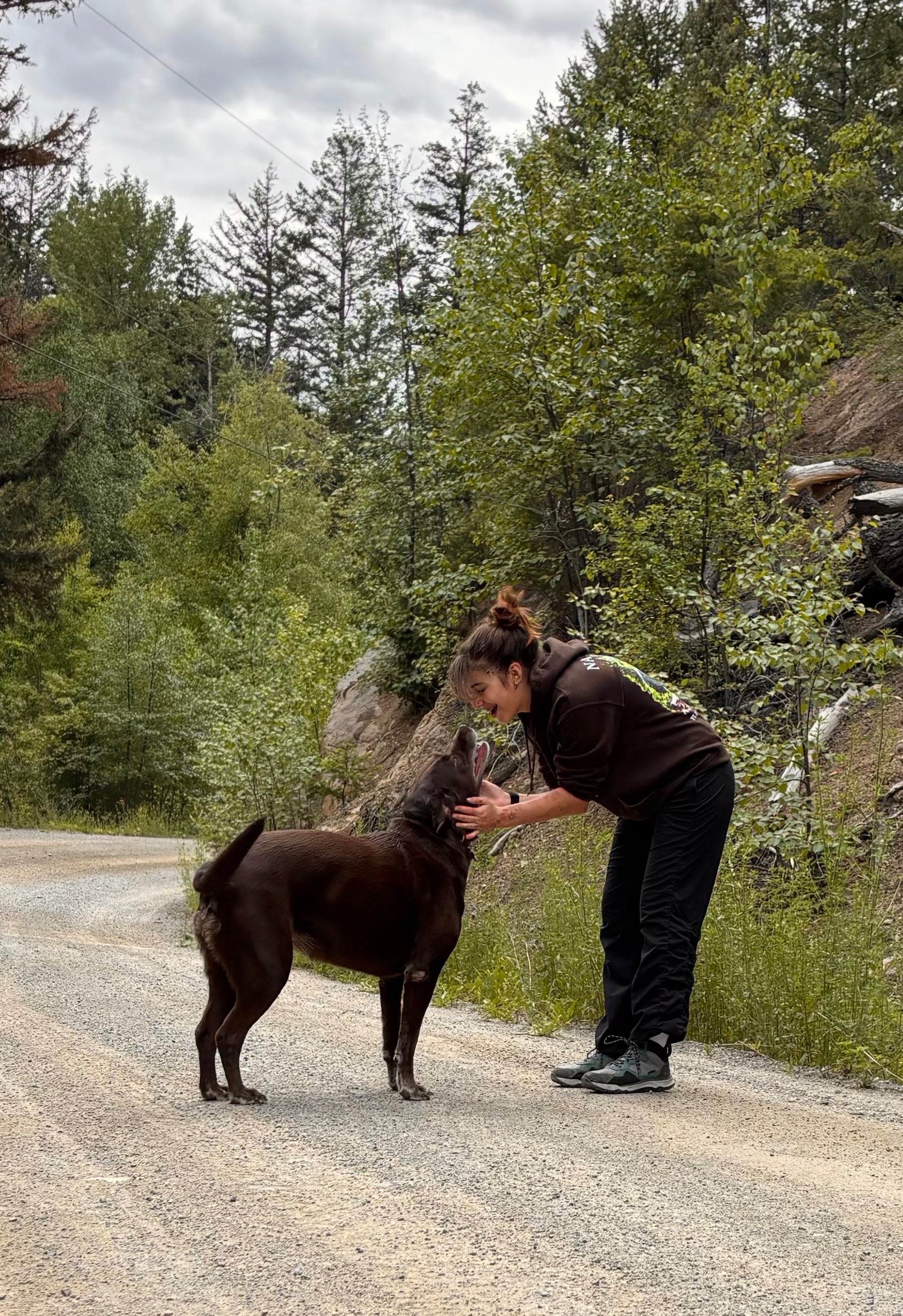 HELP SAVE DAISY!!! campaign photo, 2 of 8