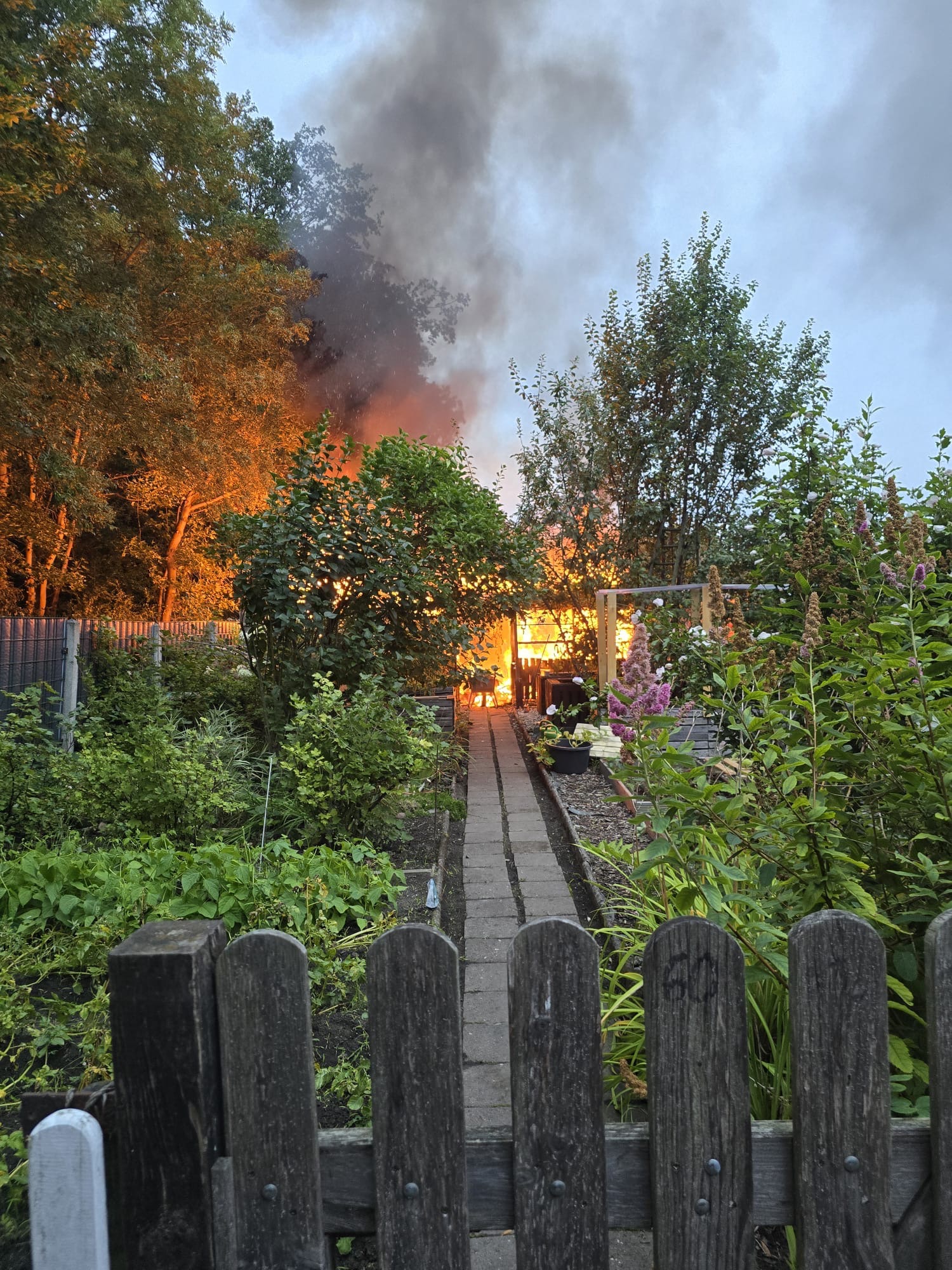 Wiederaufbau Garten campaign photo, 7 of 8