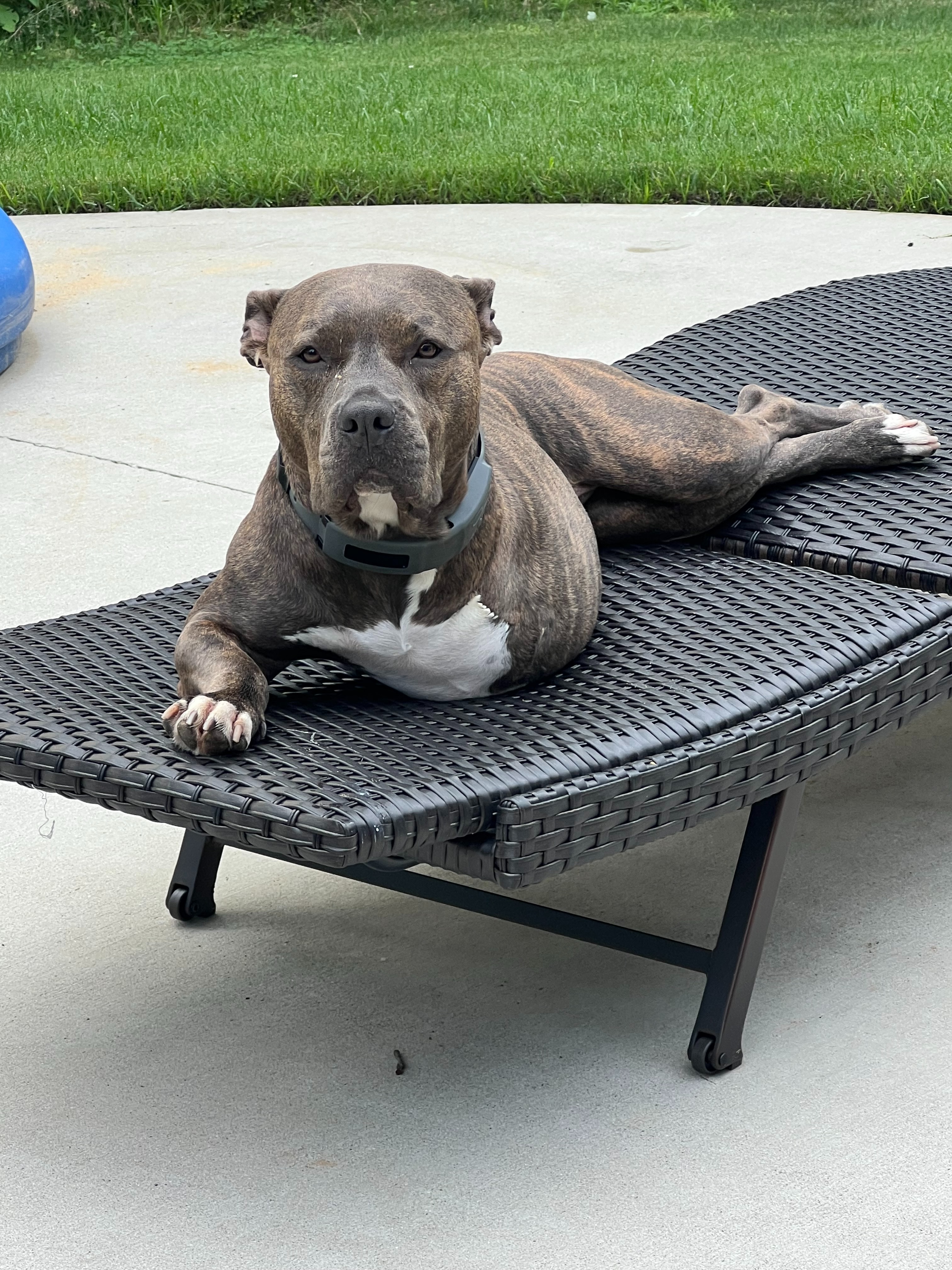 Help Gigi Walk Again: Support Her Surgery campaign photo, 6 of 7