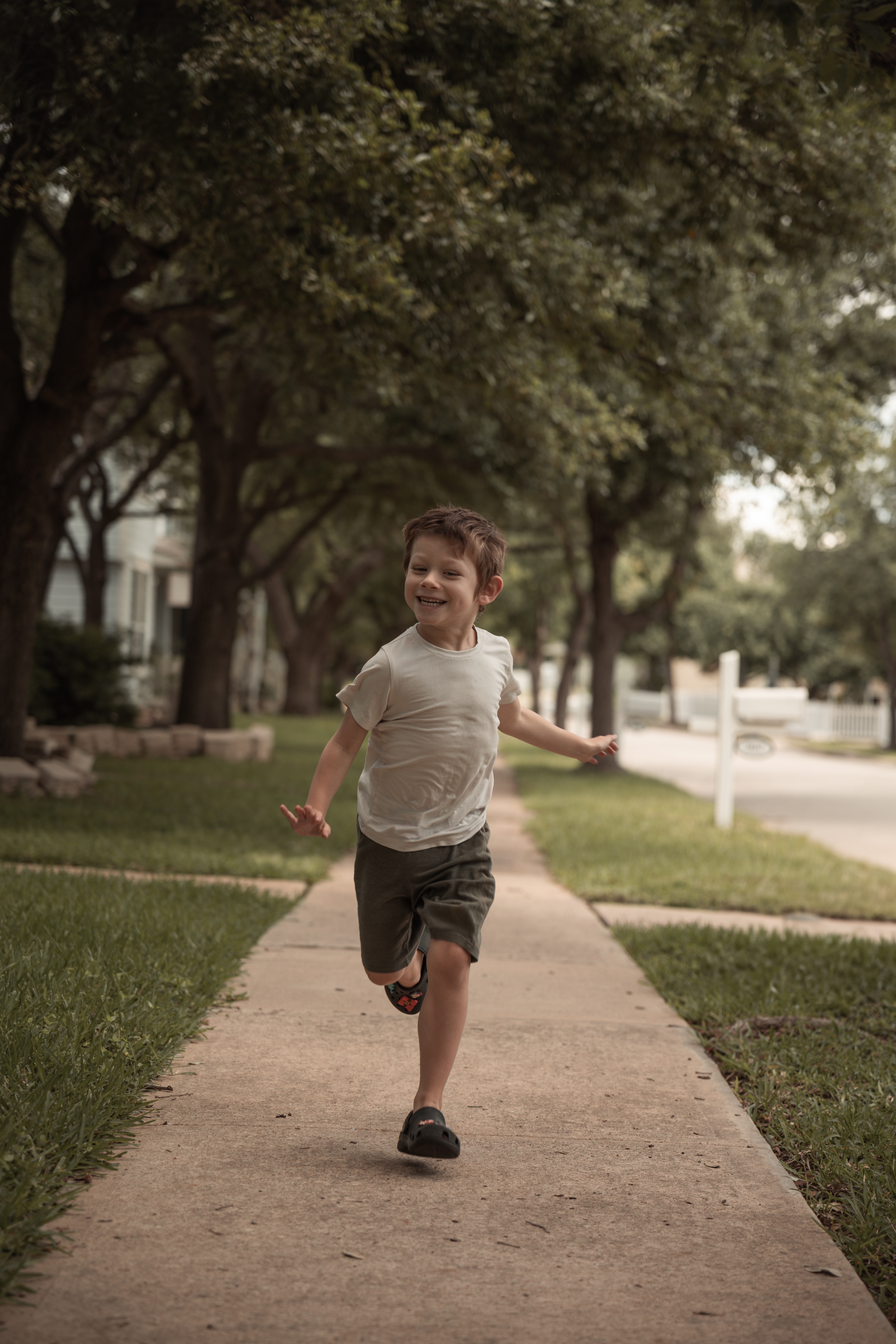Stem Cell therapy for Henry & Winston campaign photo, 2 of 4