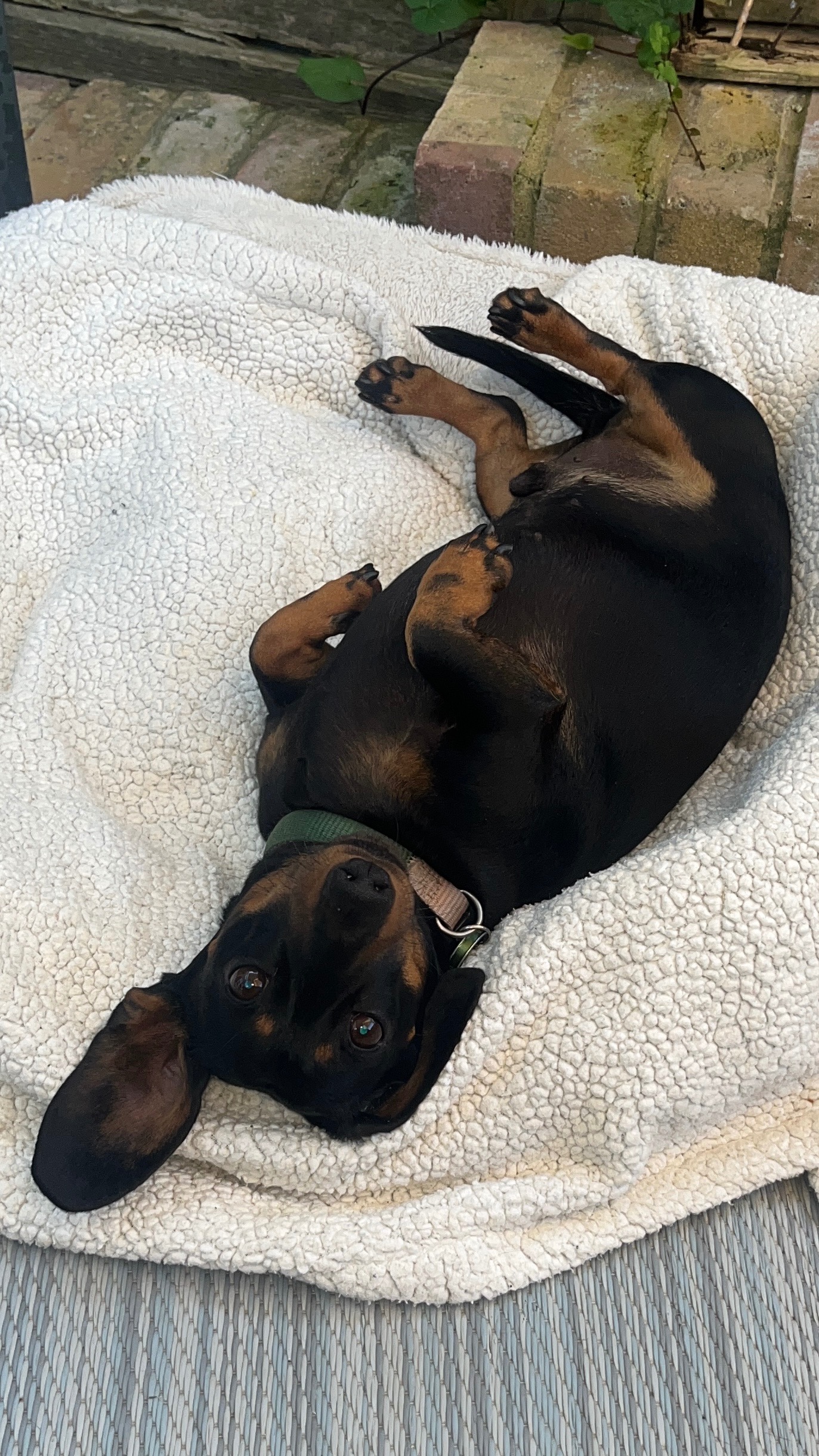 Pablo’s surgery campaign photo, 2 of 4