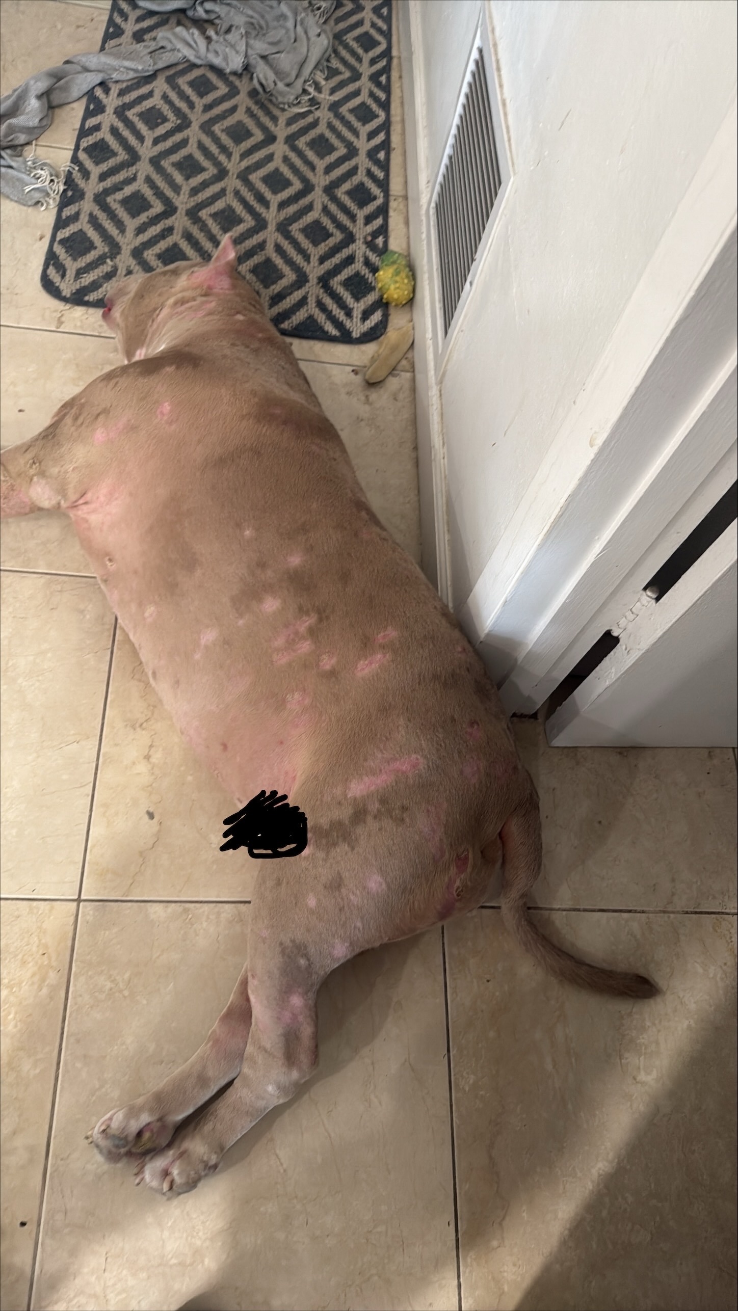 Aid Creed's Fight Against Ongoing Infections campaign photo, 4 of 6