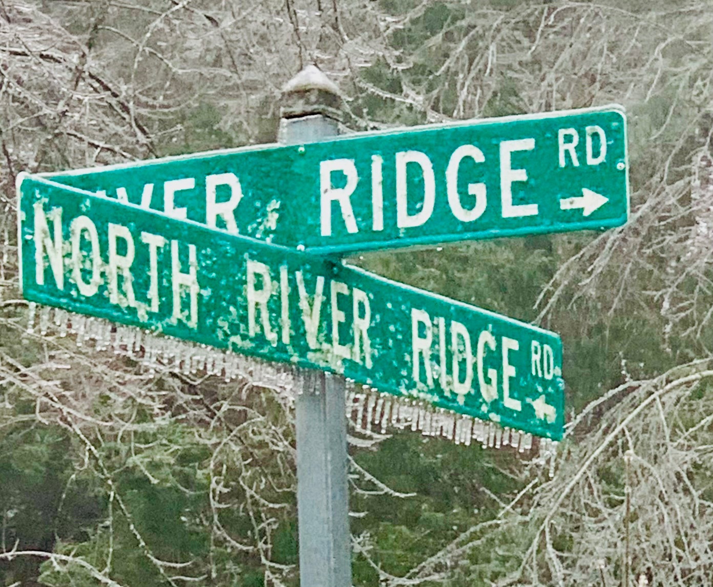 Help Preserve River Ridge Road campaign photo, 2 of 4