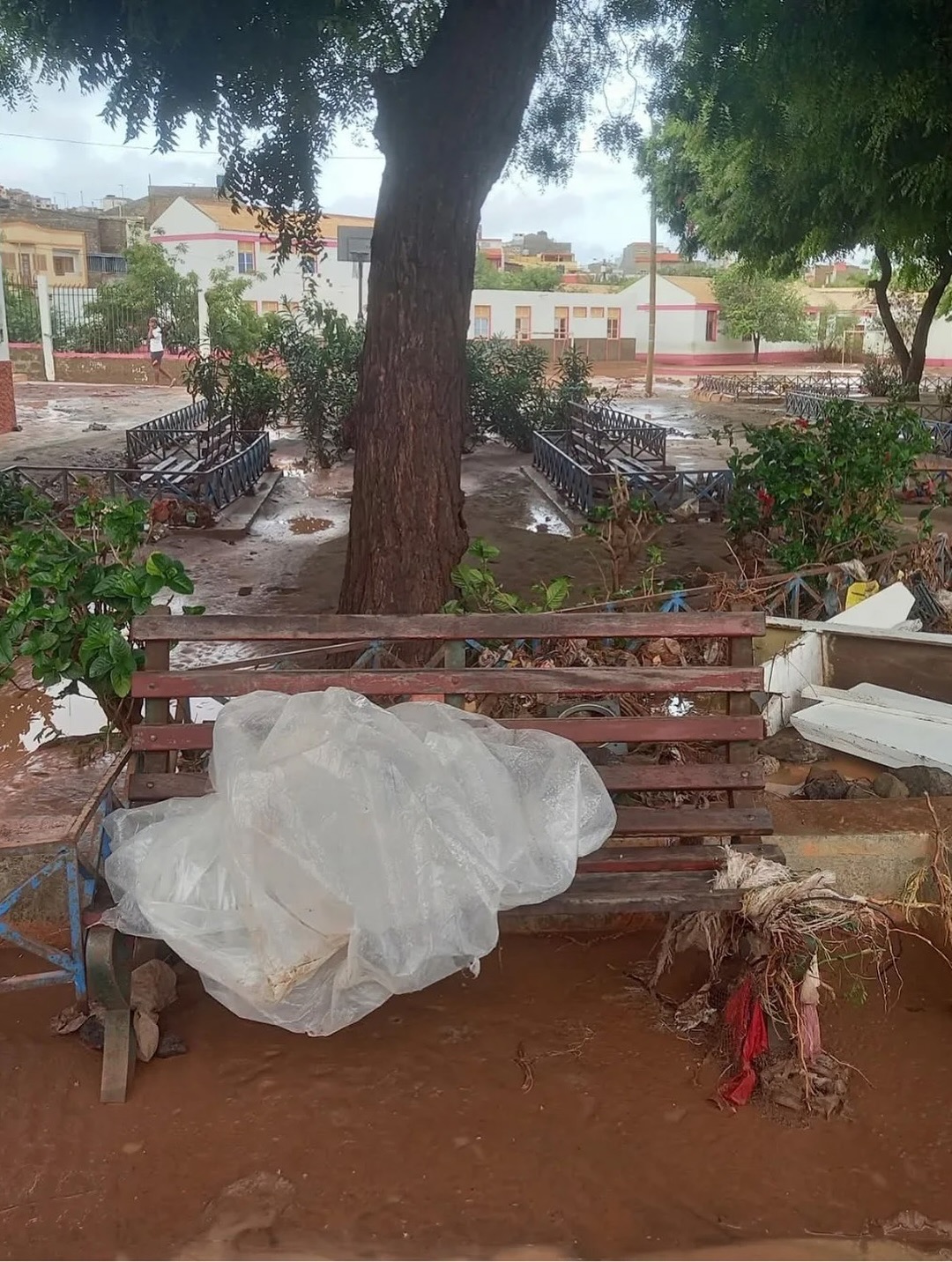 Emergency Relief for Mindelo After Natural Disaster campaign photo, 5 of 7