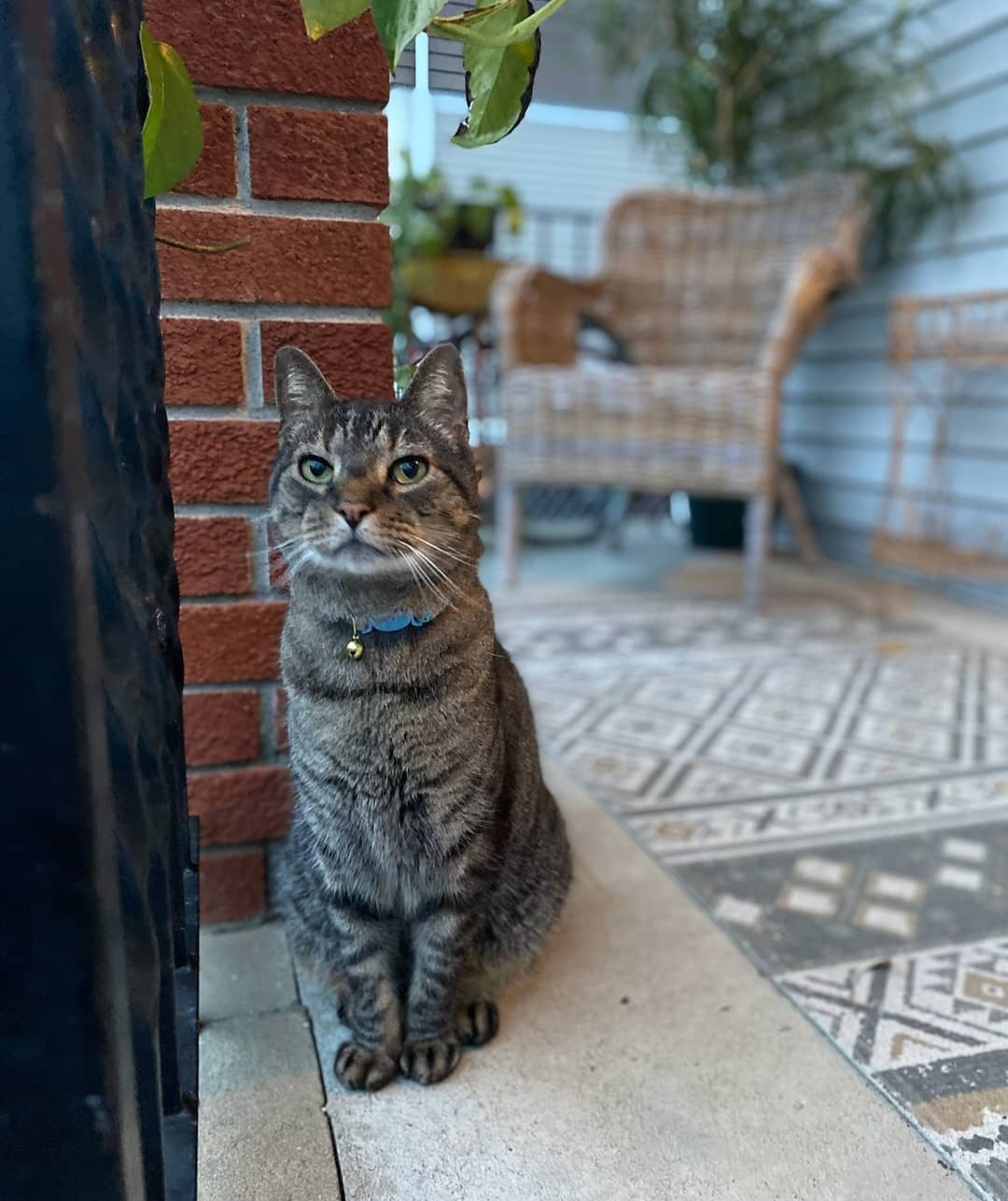 Help Teetoo Get the Medical Care He Needs campaign photo, 4 of 6