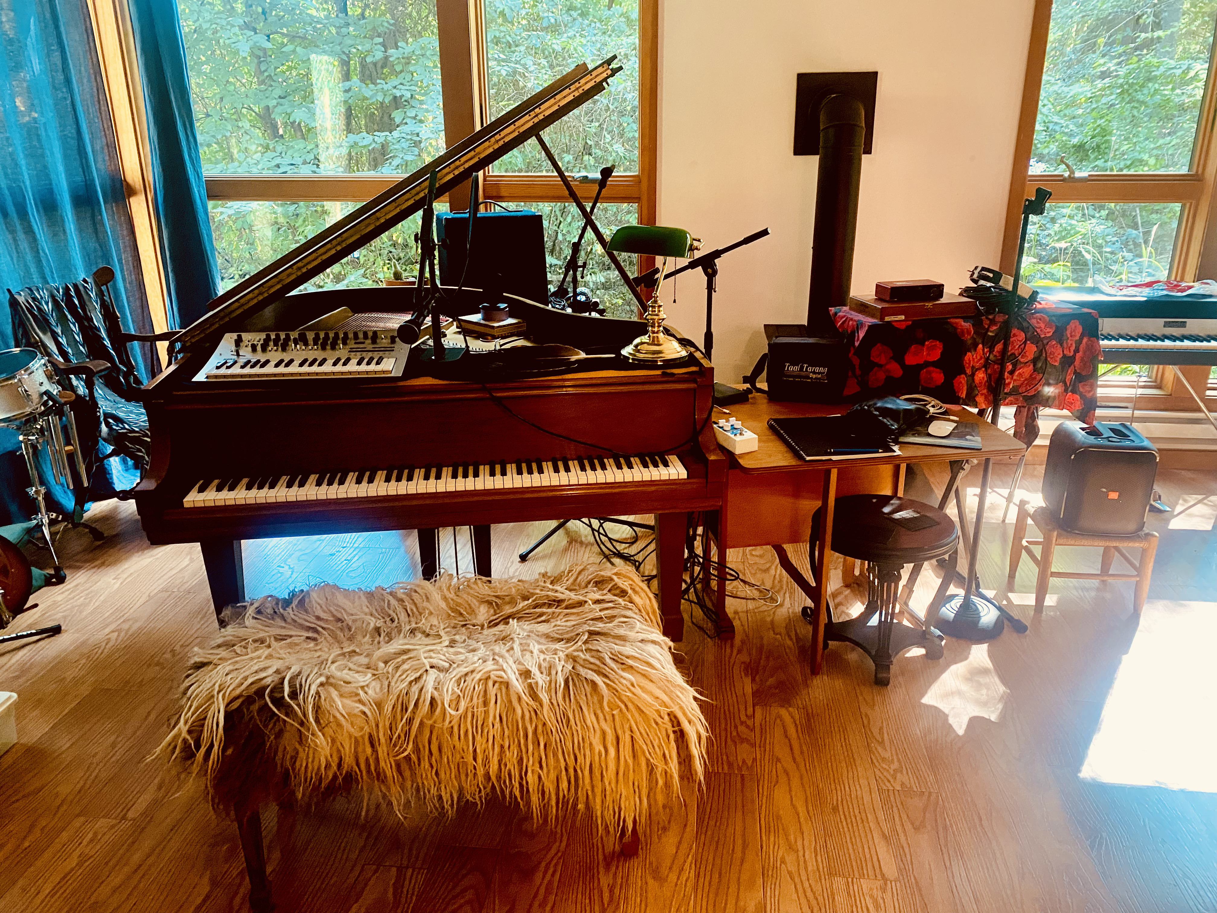 Help Trans Composer Record Album! campaign photo, 4 of 7