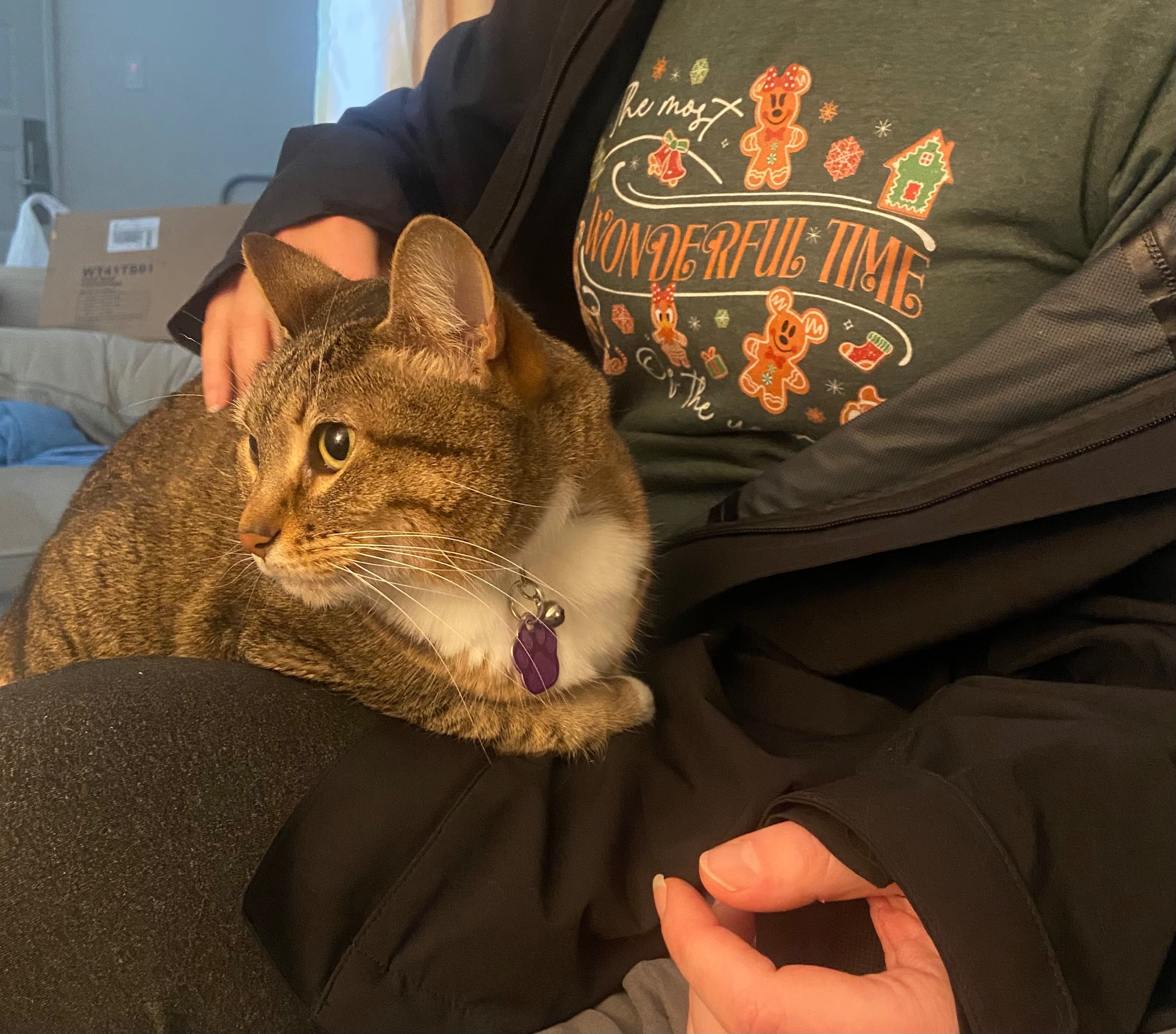 Keep Jenn and Mochi Safe and Housed campaign photo, 4 of 8