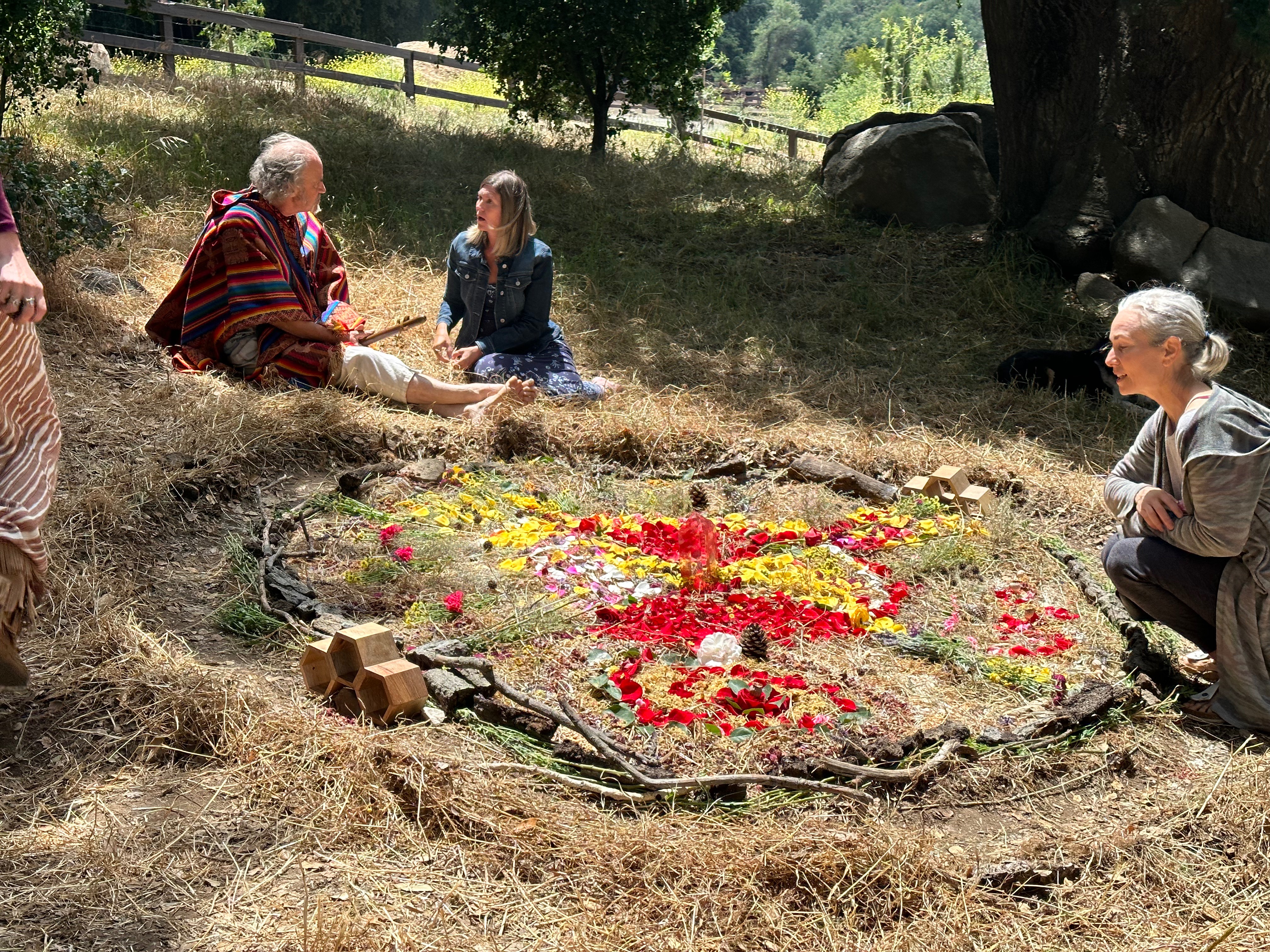 Help SoulHaven Thrive & Transform Lives campaign photo, 7 of 8