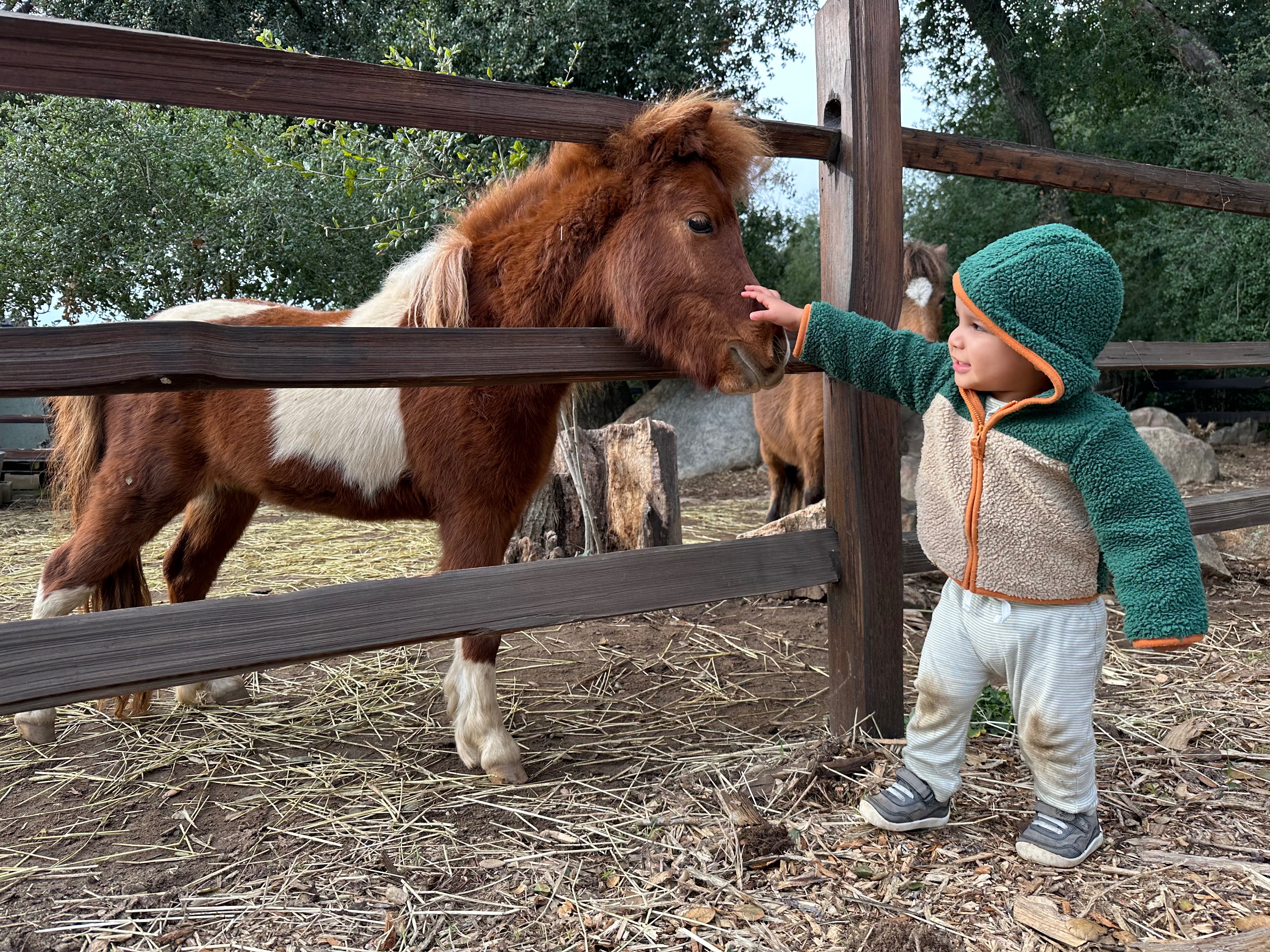 Help SoulHaven Thrive & Transform Lives campaign photo, 2 of 8