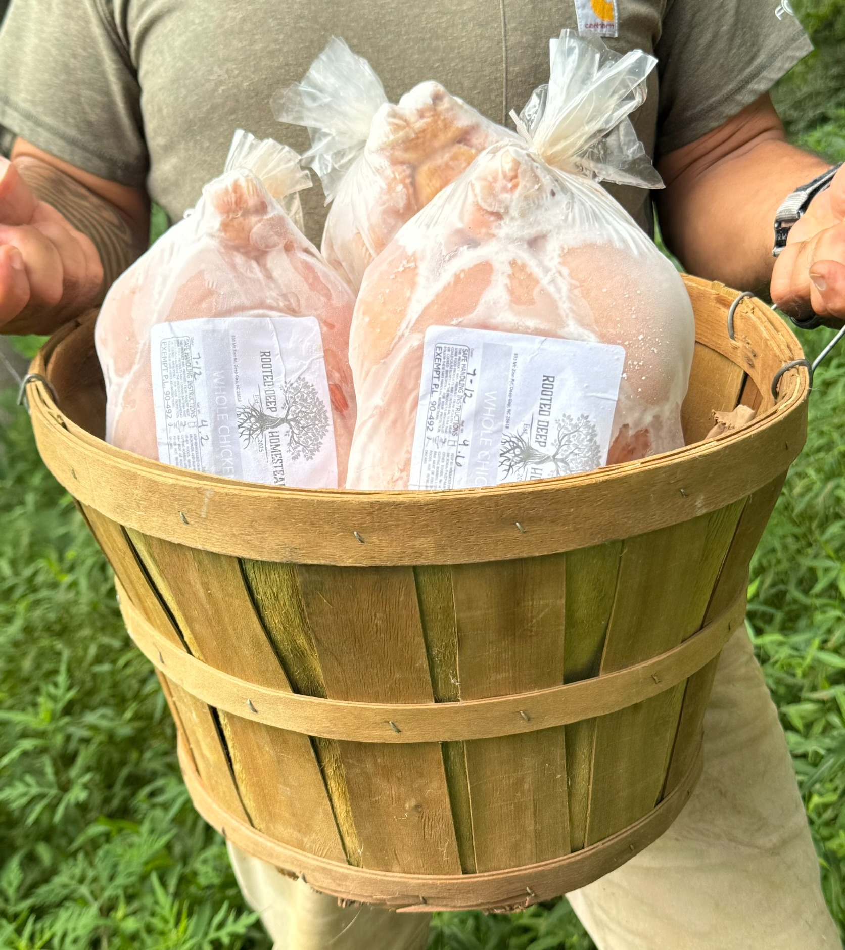 Donate to Feed Families in Western NC campaign photo, 5 of 6