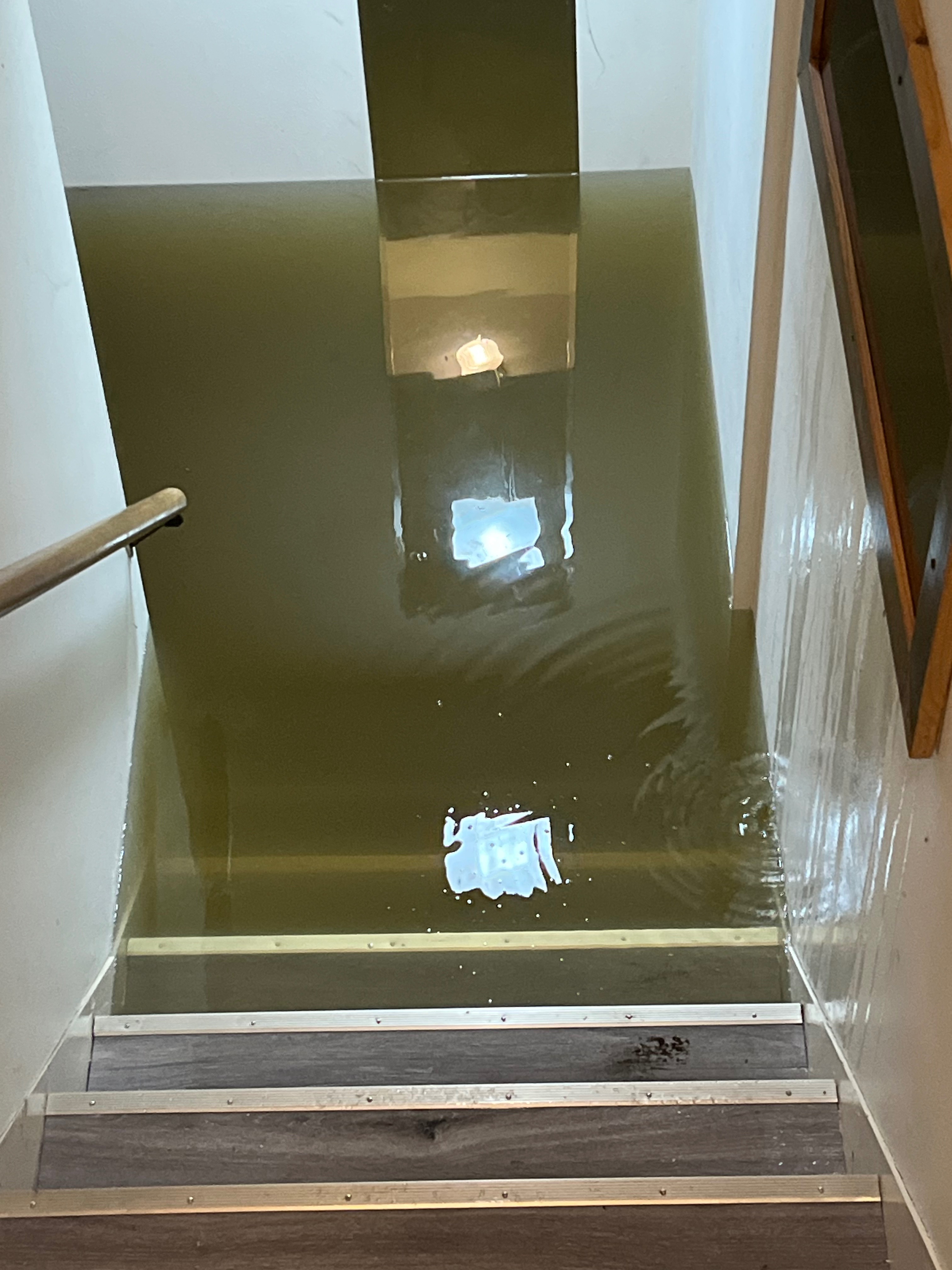 User-uploaded image 2