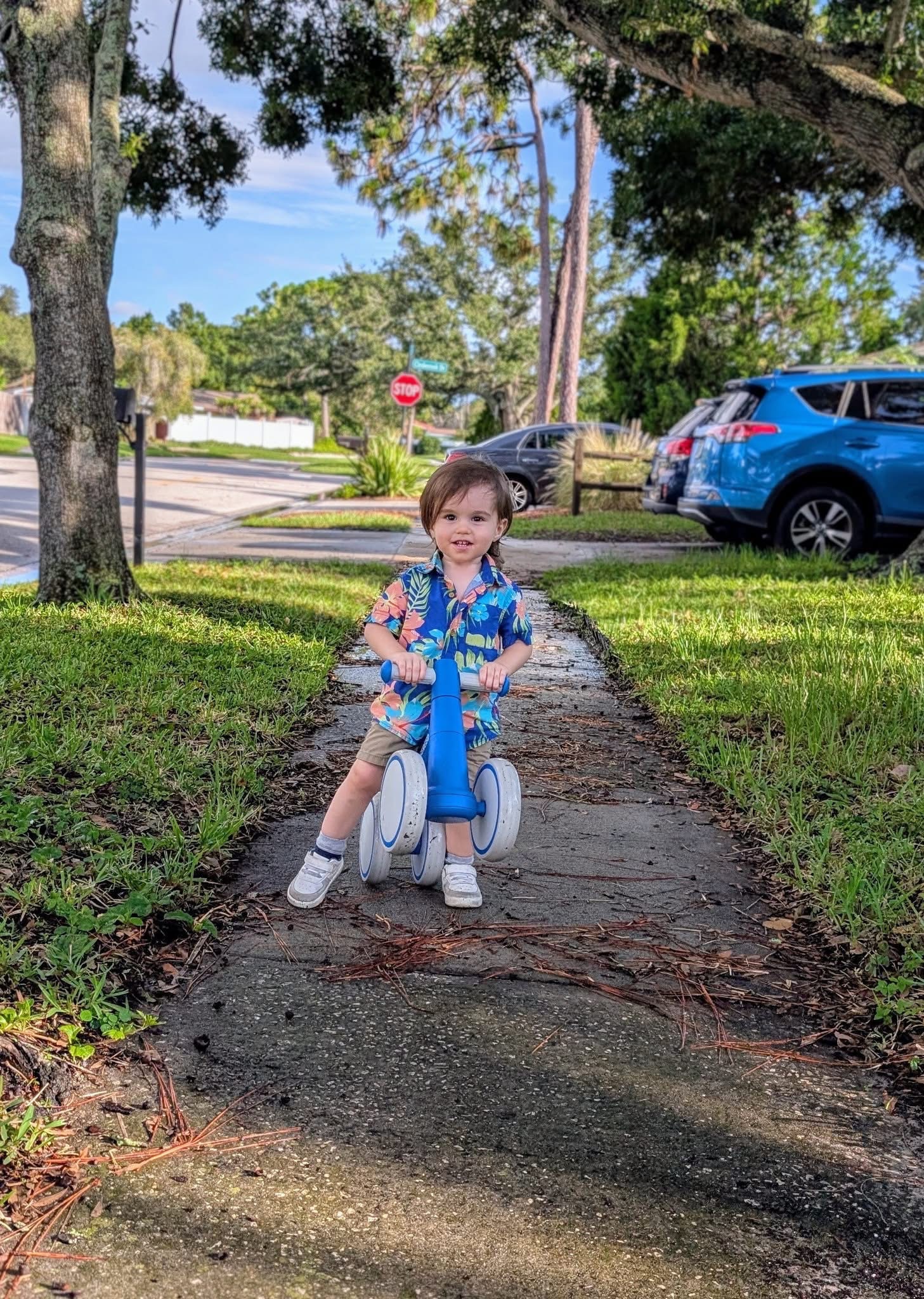Support Eli's Surgery and Recovery Journey! campaign photo, 2 of 7