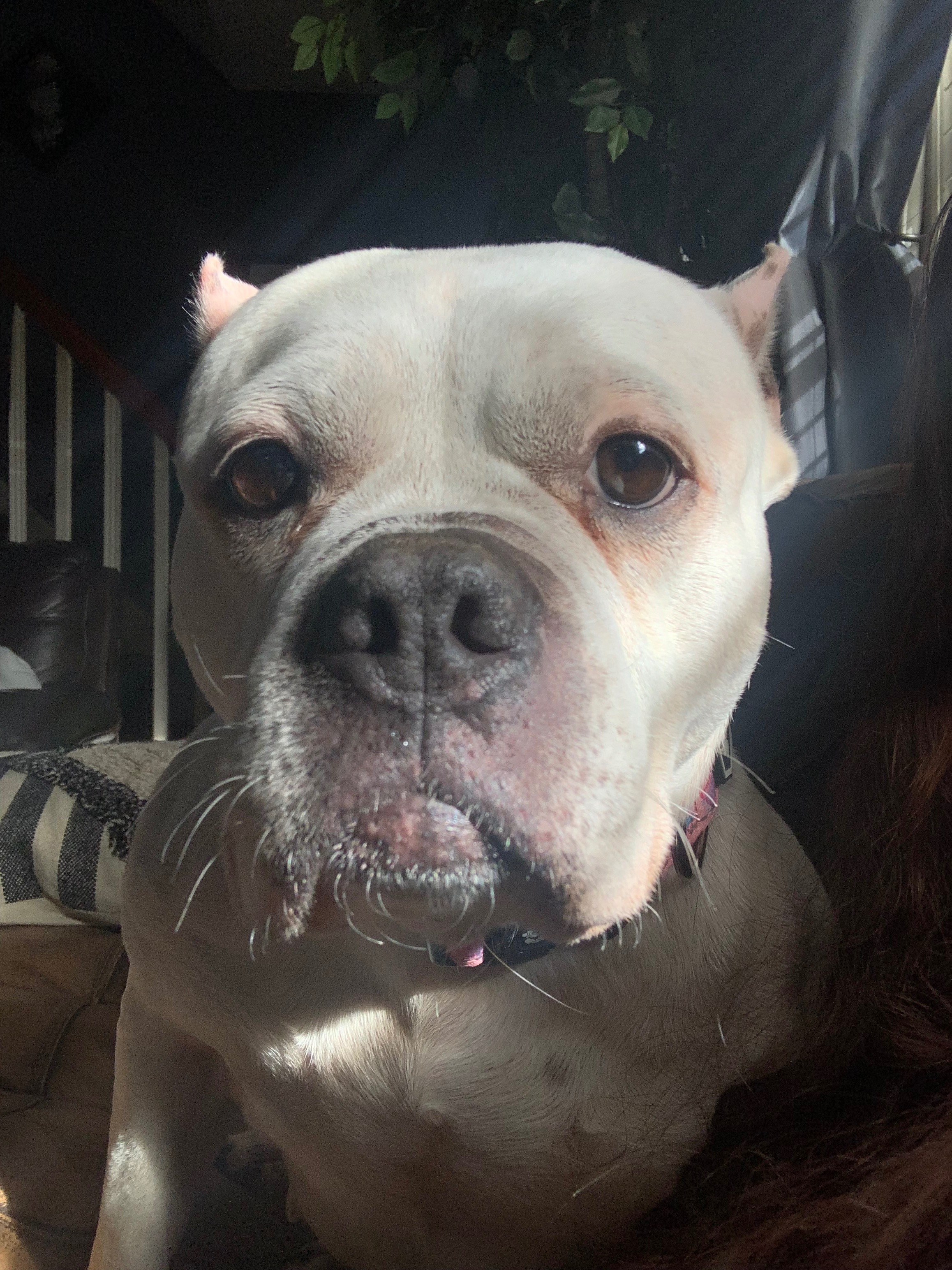 User-uploaded image 1