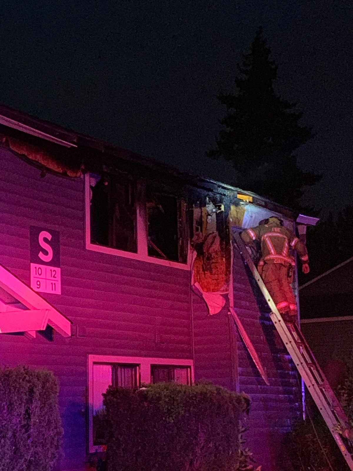 Fire Took Their Home. Help Lev & Bug Start Over! campaign photo, 6 of 7