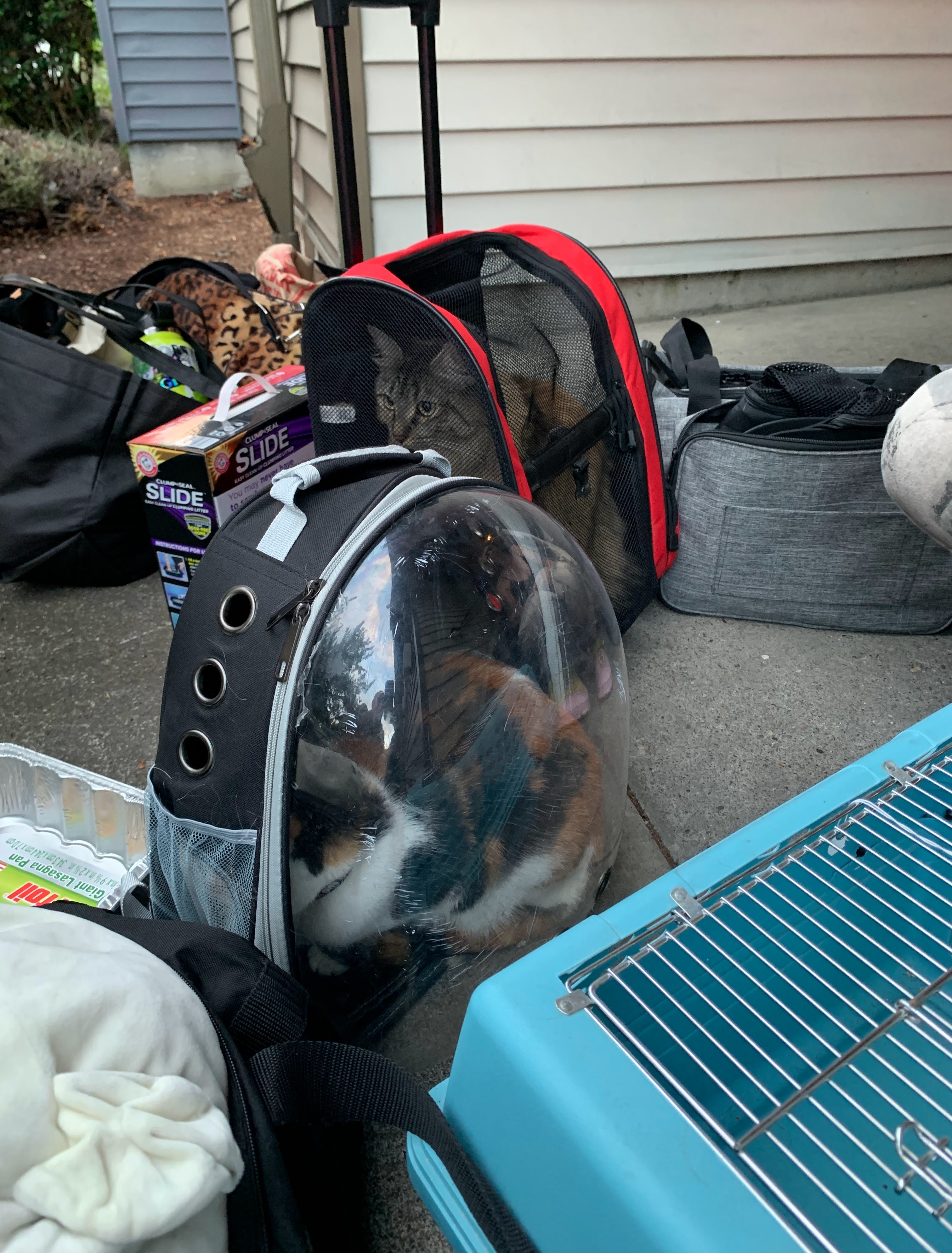 Fire Took Their Home. Help Lev & Bug Start Over! campaign photo, 5 of 7