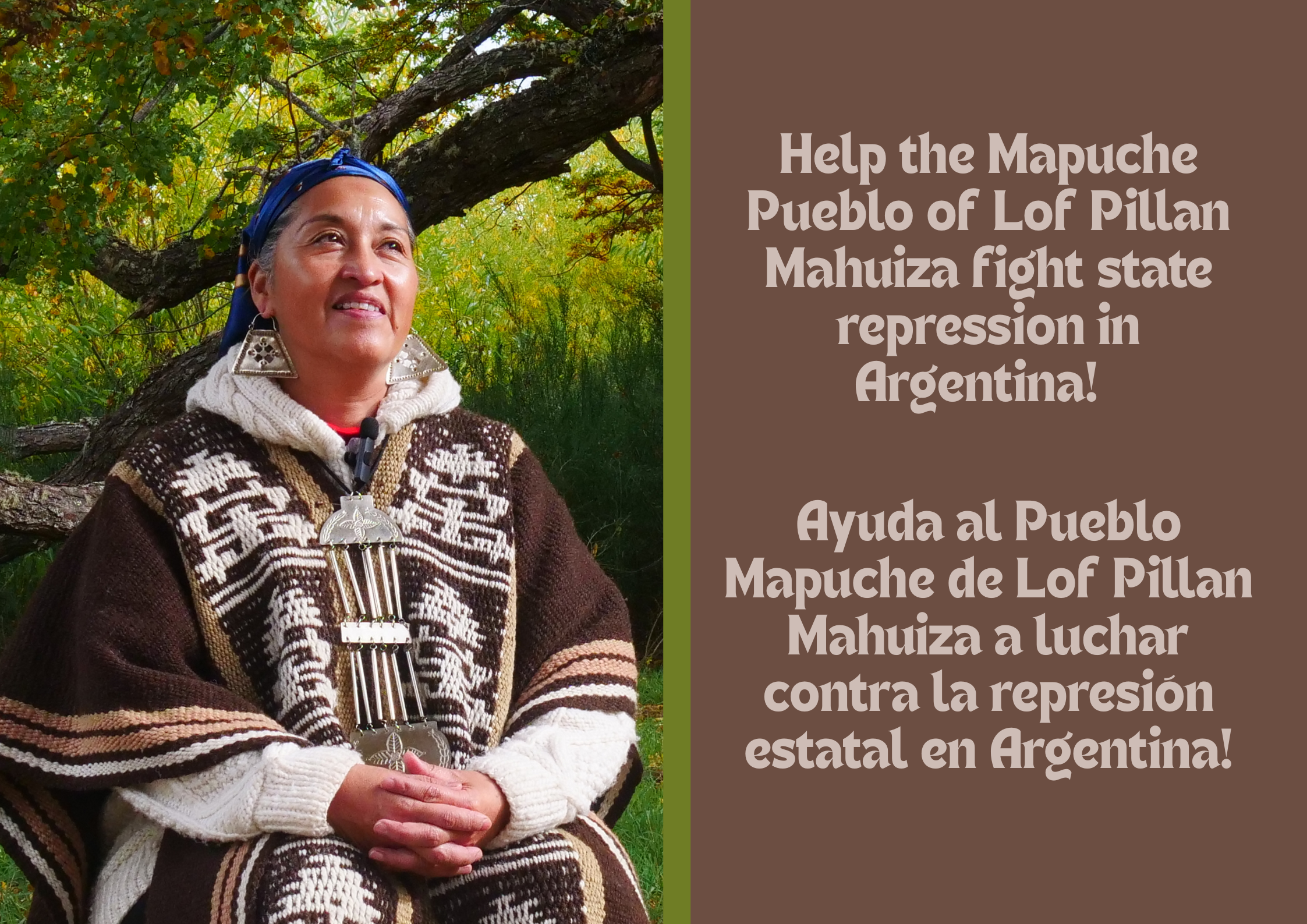 Aid Mapuche Activists Facing State Violence in Patagonia campaign photo, 2 of 4