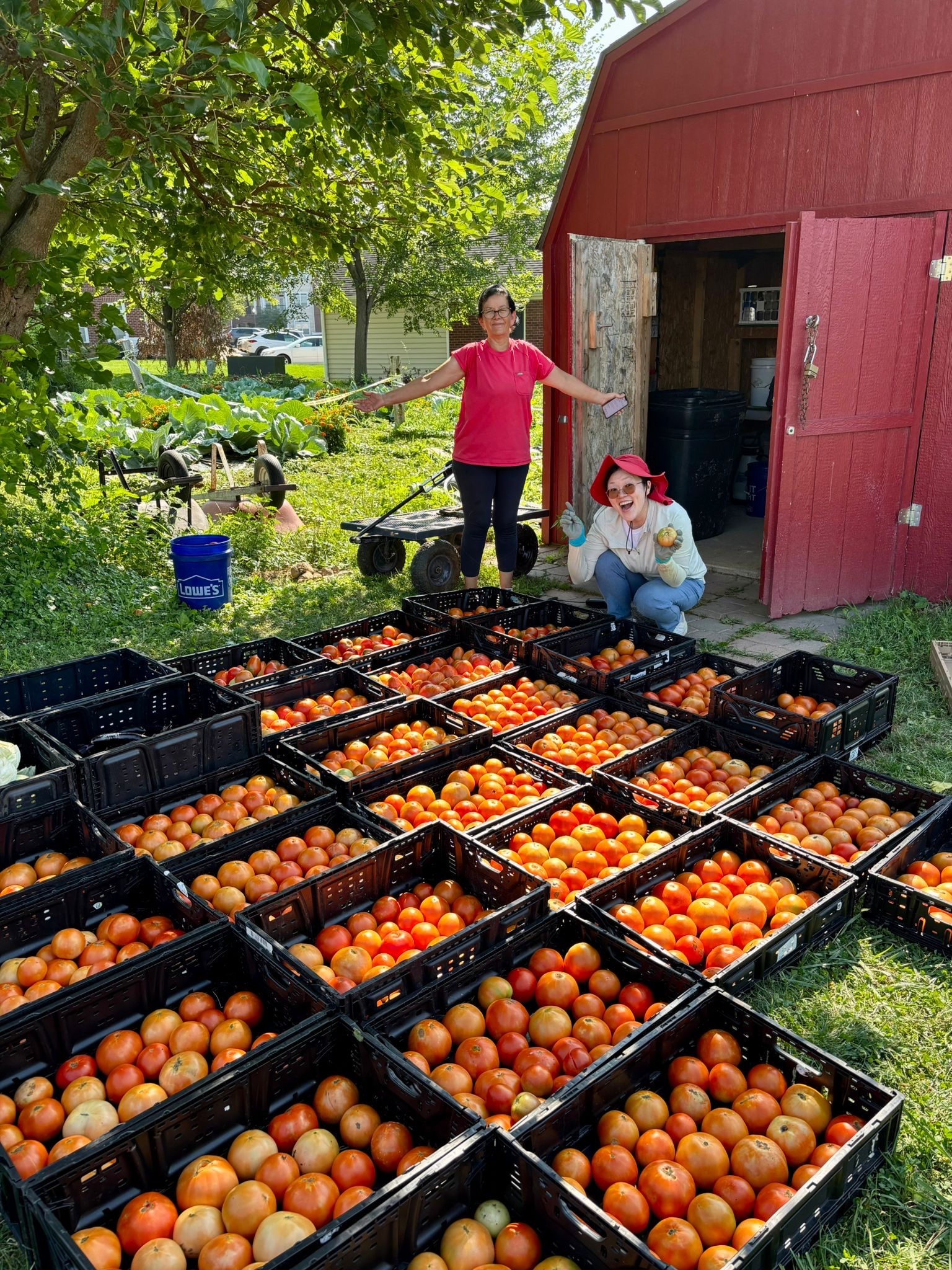 Help Taste of Peace Ohio Grow Fresh Food campaign photo, 2 of 8