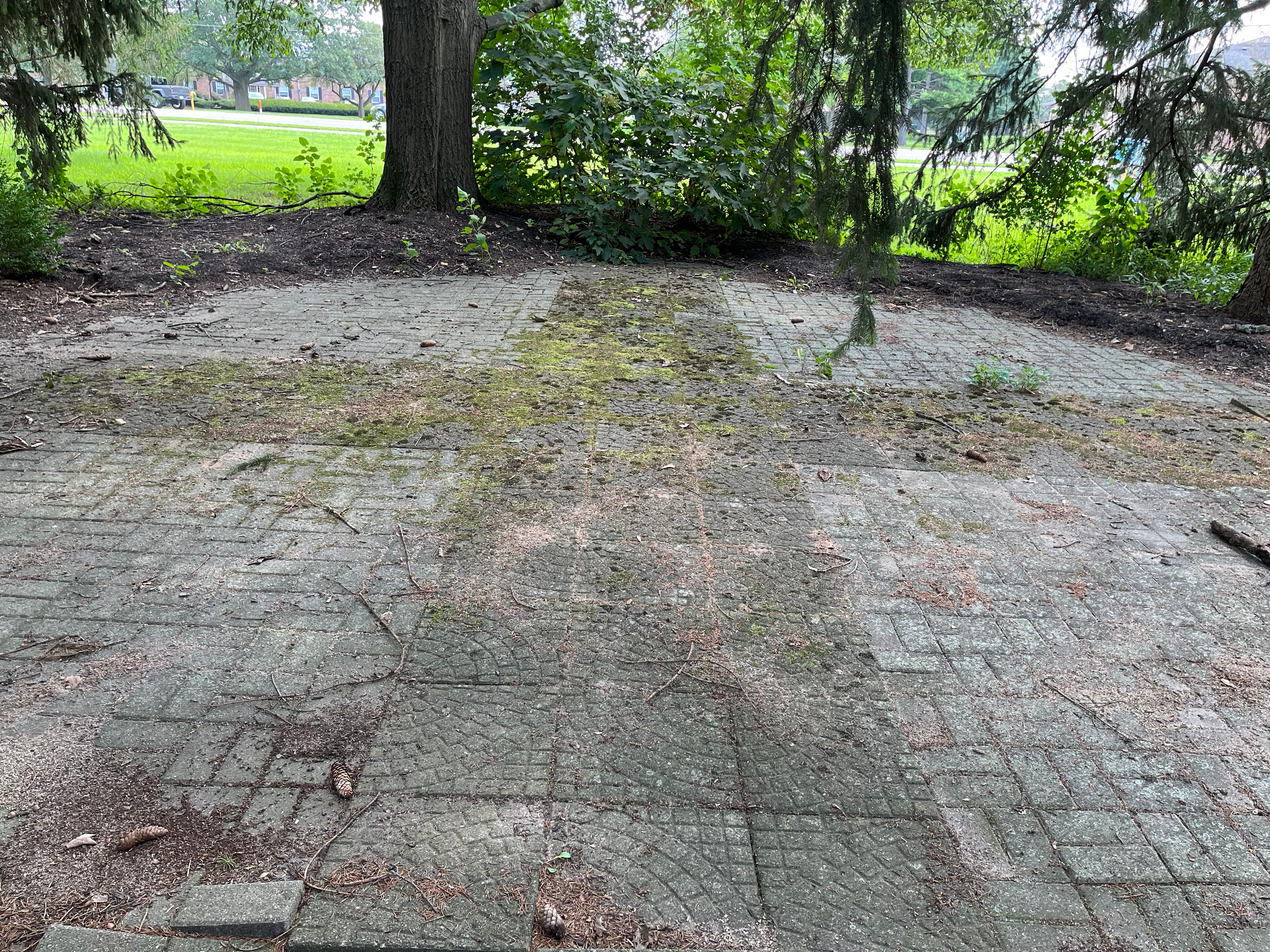 Improving Fairlawn Presbyterian Church's Meditation Garden campaign photo, 6 of 6