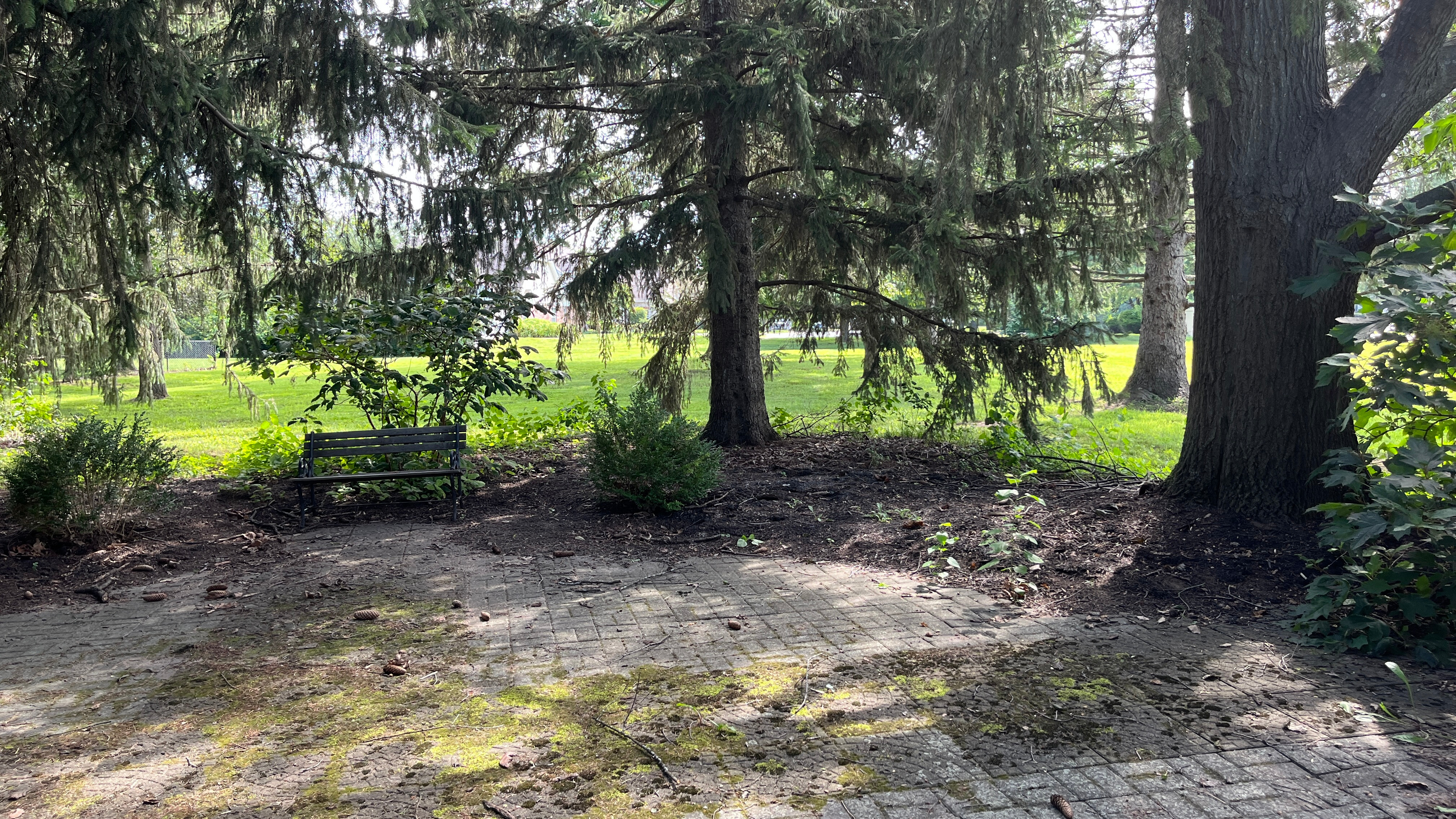Improving Fairlawn Presbyterian Church's Meditation Garden campaign photo, 2 of 6