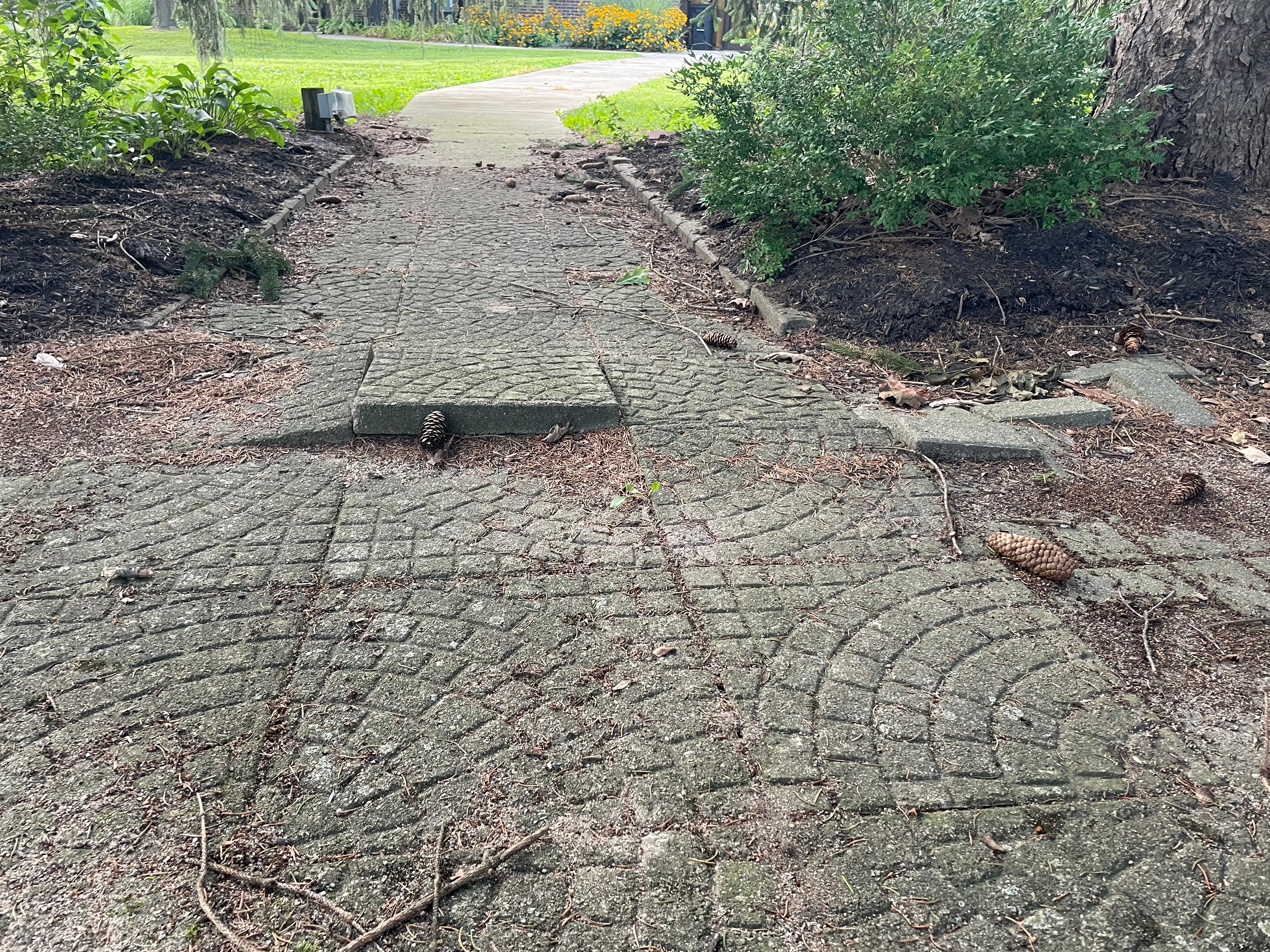 Improving Fairlawn Presbyterian Church's Meditation Garden campaign photo, 5 of 6
