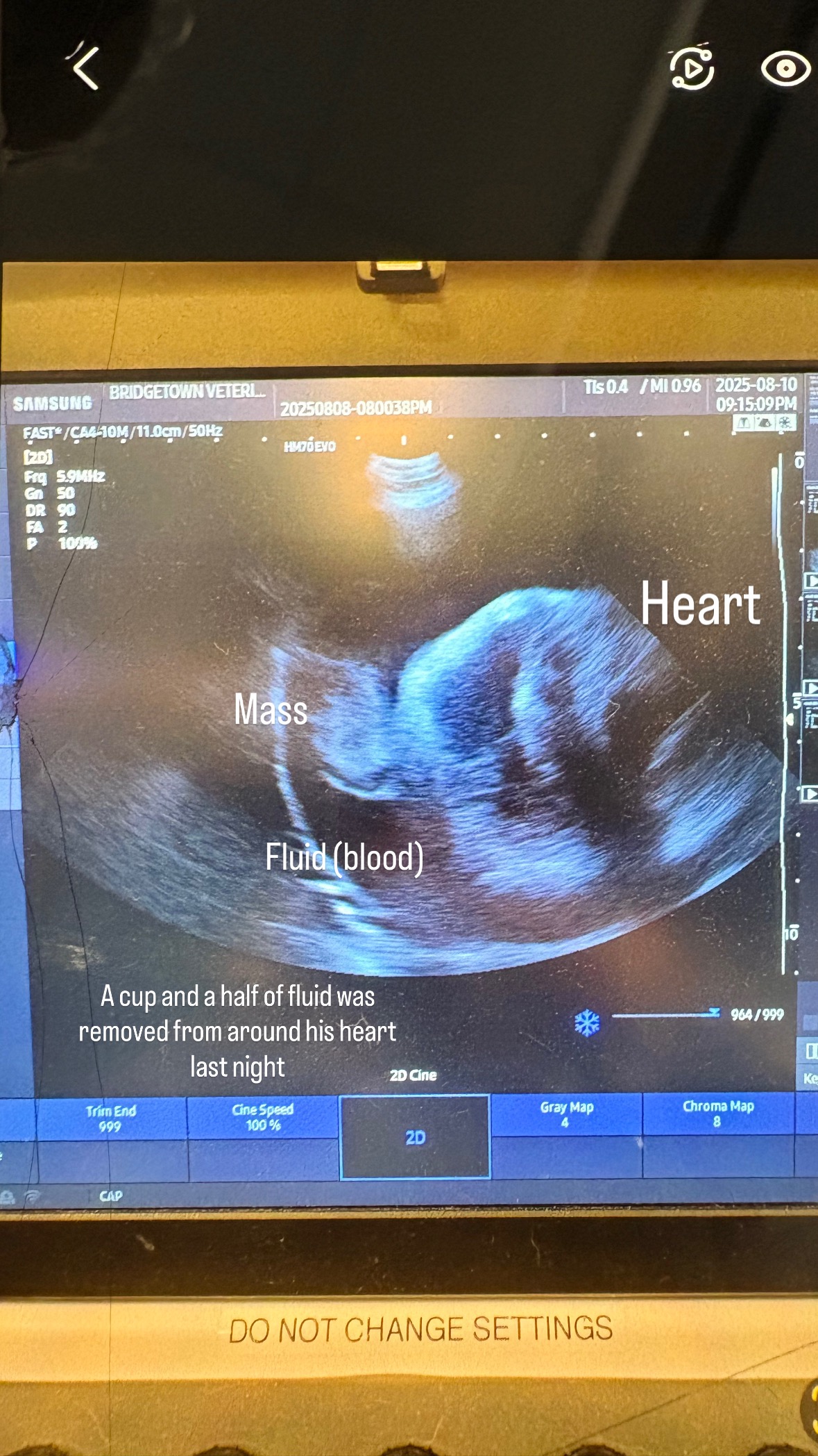 Help us With End of Life Care and Procedures for Oliver campaign photo, 4 of 7