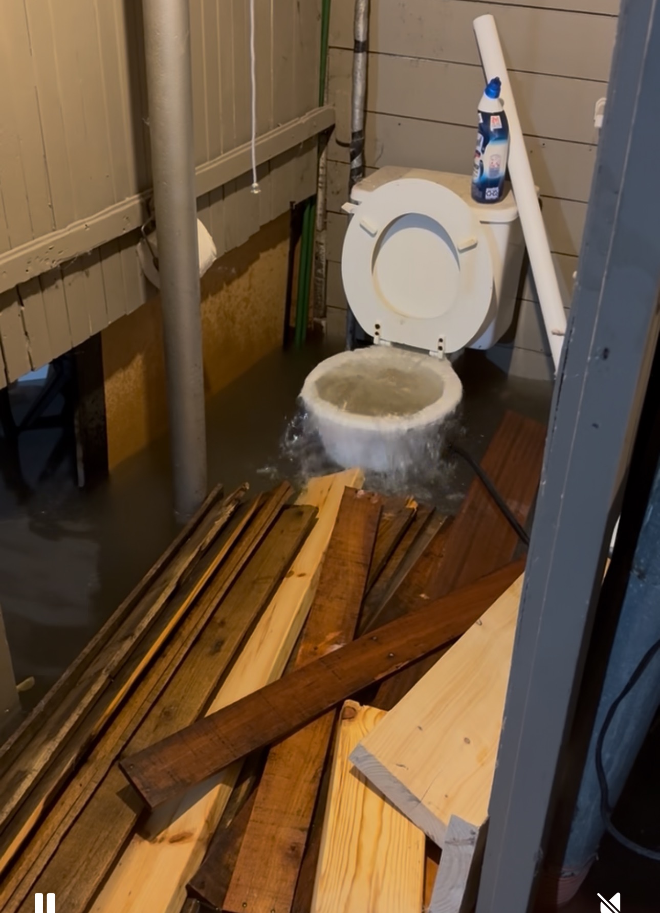 Support Kristina's Flood Recovery Efforts campaign photo, 2 of 6