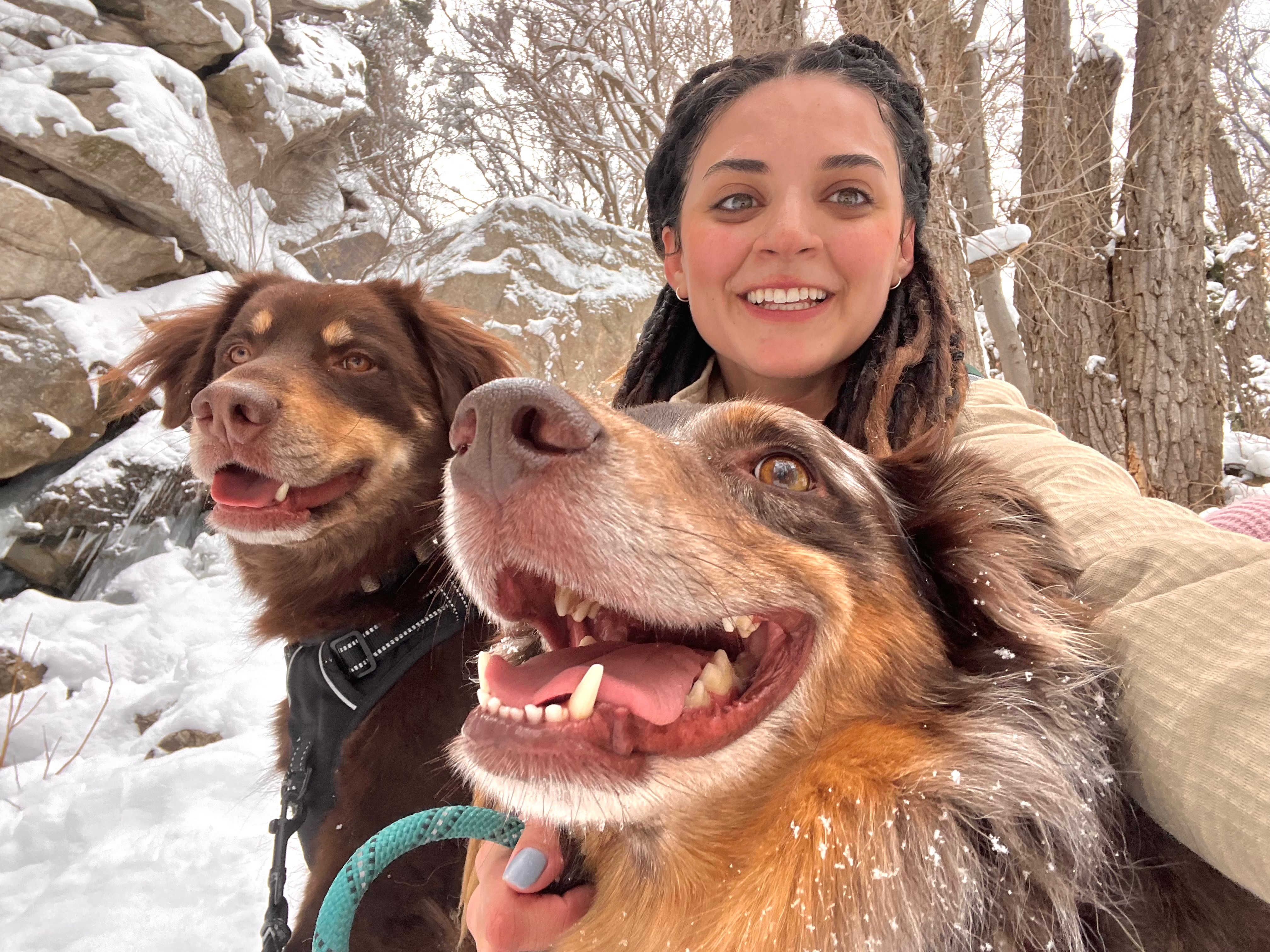 Support Needed for Emergency Vet Costs campaign photo, 5 of 6