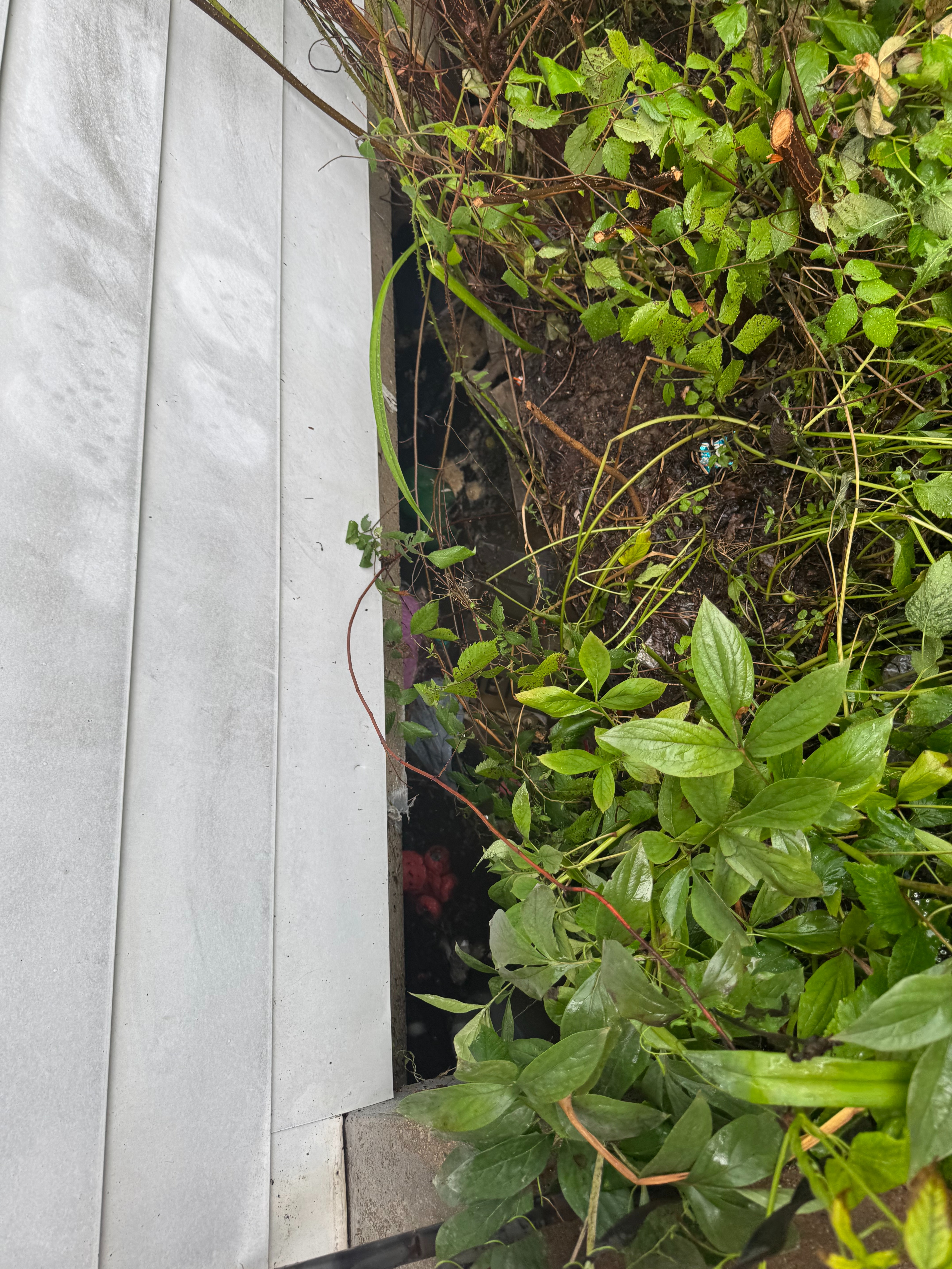 Support a Family Displaced by Storm Damage campaign photo, 5 of 6