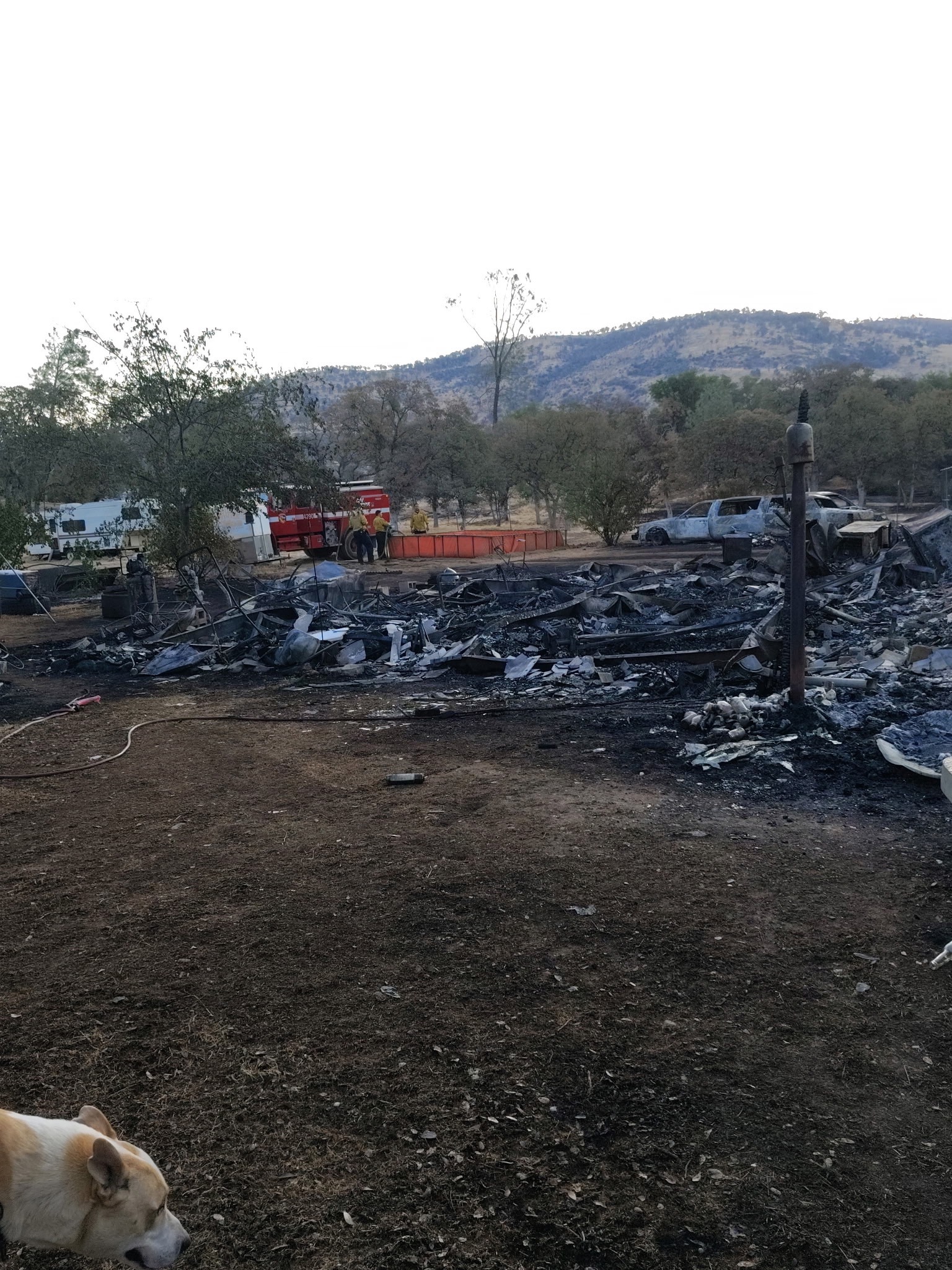 User-uploaded image 1