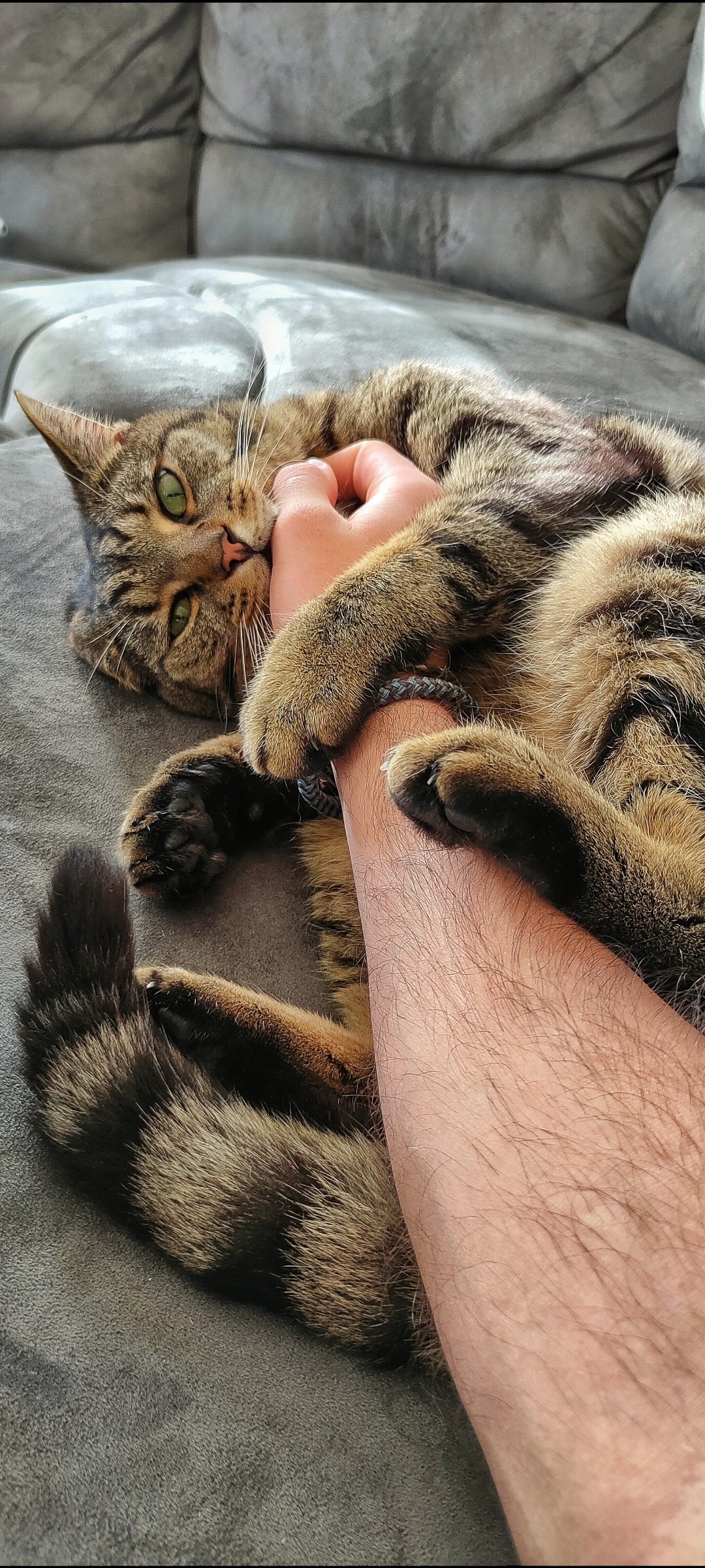 Help Miso Recover after Losing Her Leg - Trap Injury campaign photo, 7 of 8