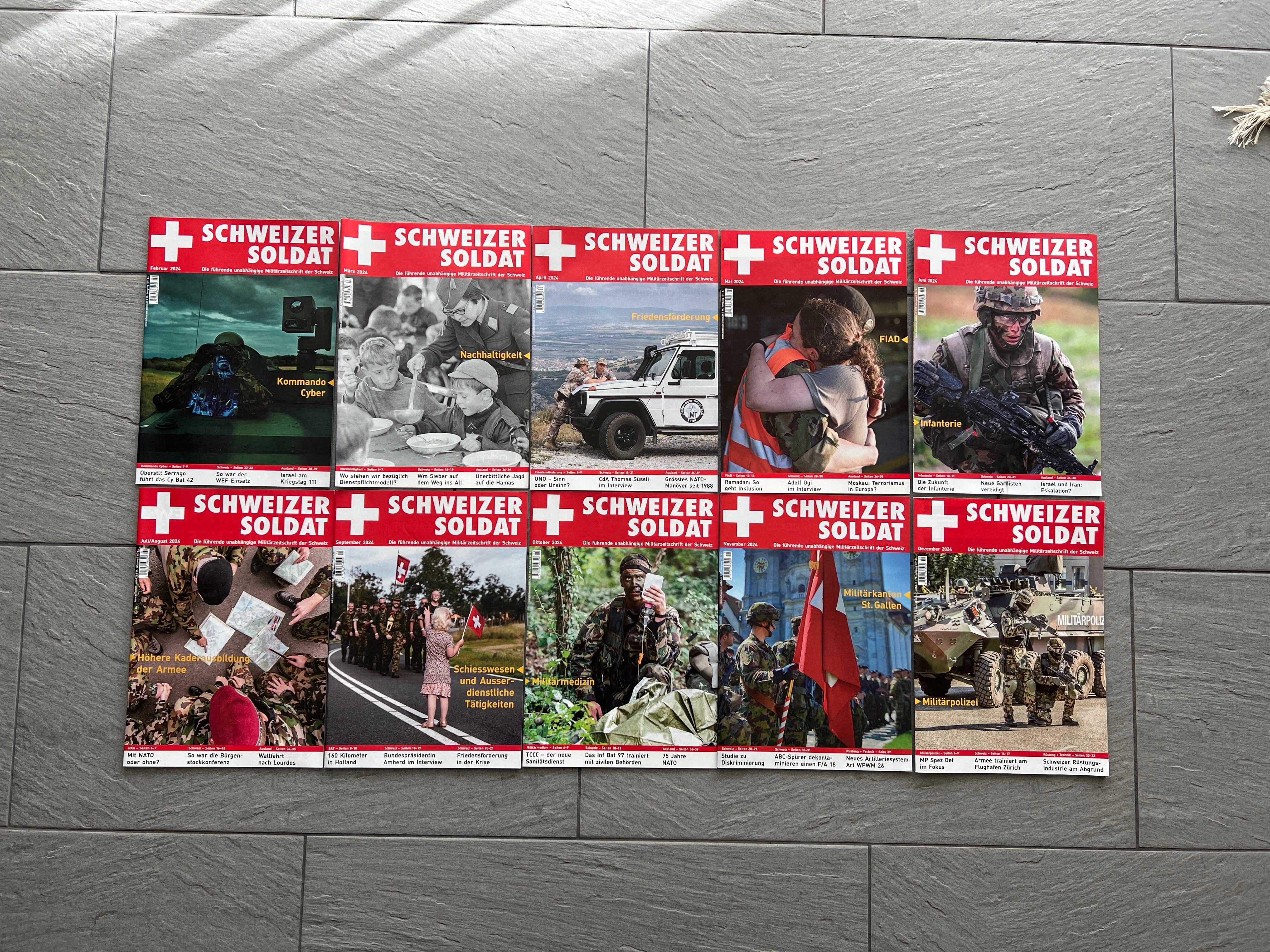 Rettet den SCHWEIZER SOLDAT! campaign photo, 5 of 6