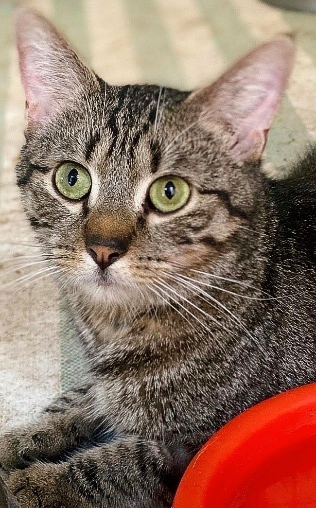 Save Timothy‘s life. campaign photo, 6 of 7