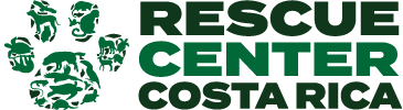 Purchase of a Radiology device for RESCUE CENTER COSTA RICA campaign photo, 7 of 7