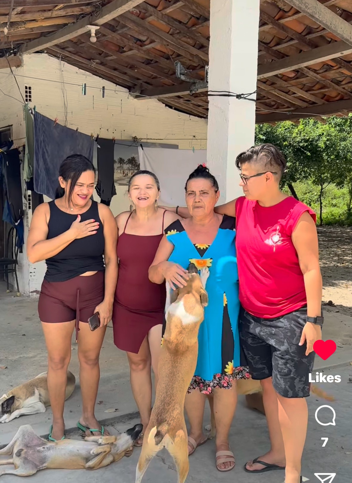 Feed and Heal Stray Dogs with Cat's Family campaign photo, 7 of 8