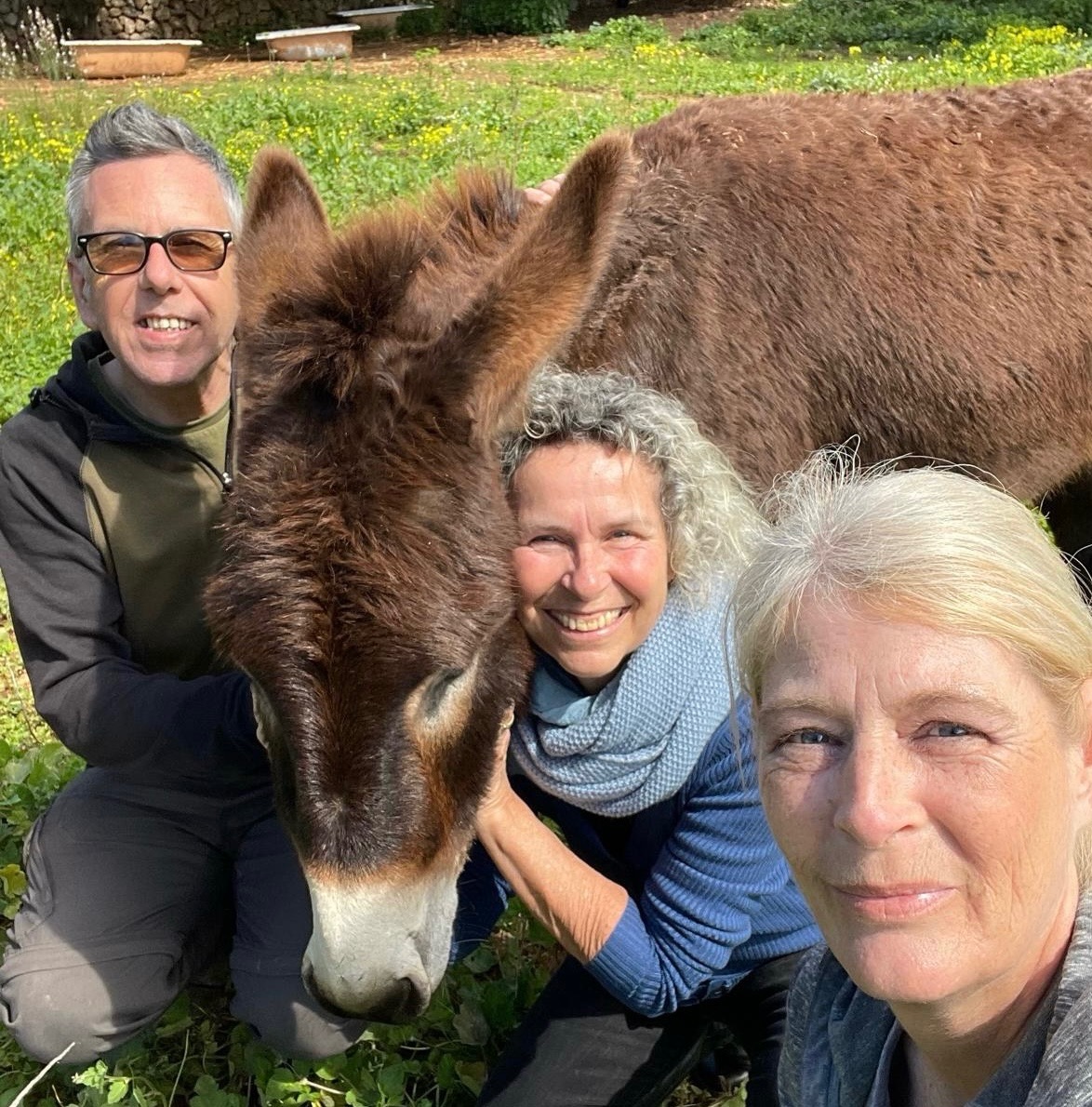 Help Dennis and Jane buy the Land for the Menorca donkey’s campaign photo, 2 of 6