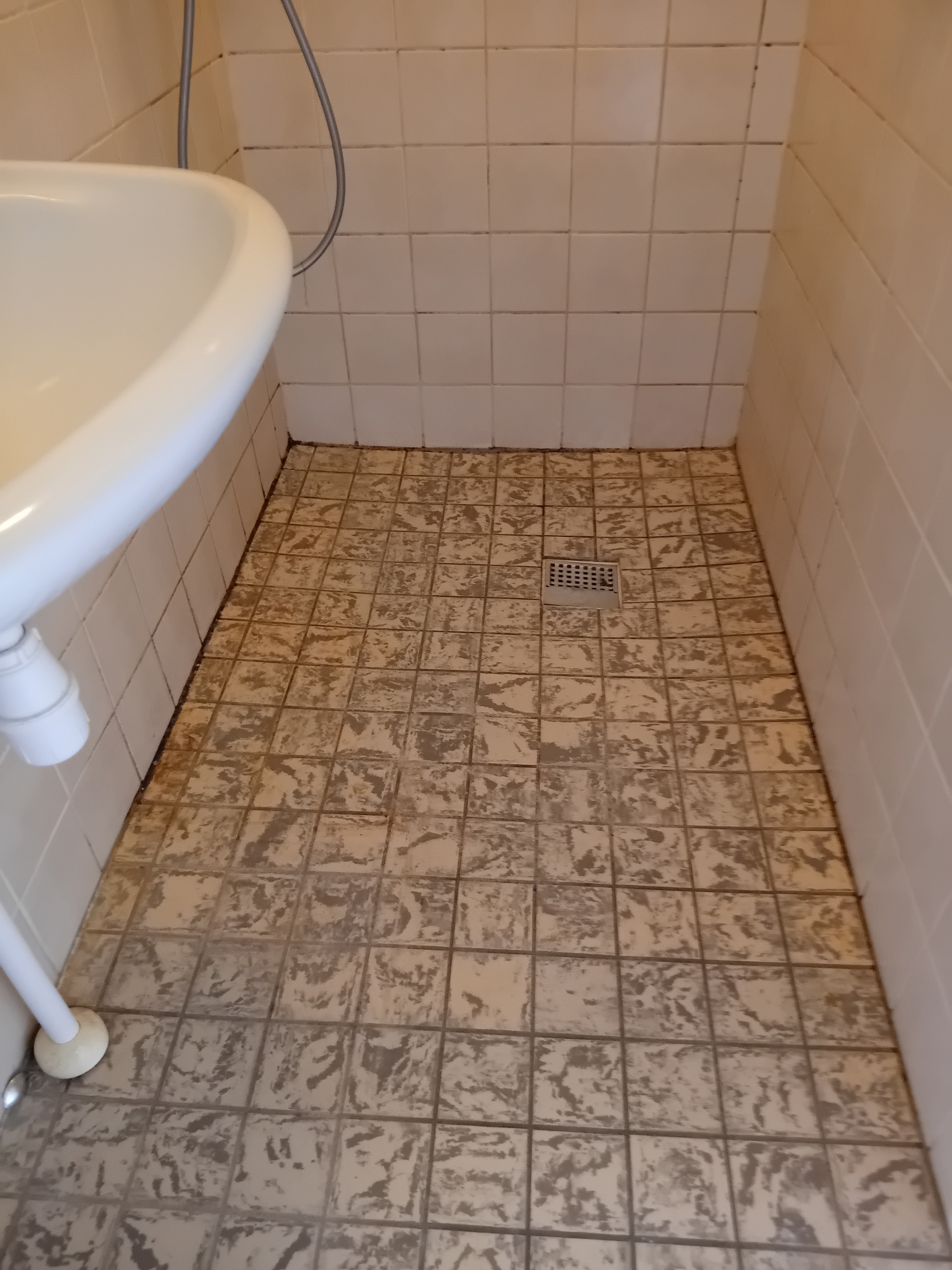 Woningruil gaat fout door kakkerlakkenplaag campaign photo, 5 of 8