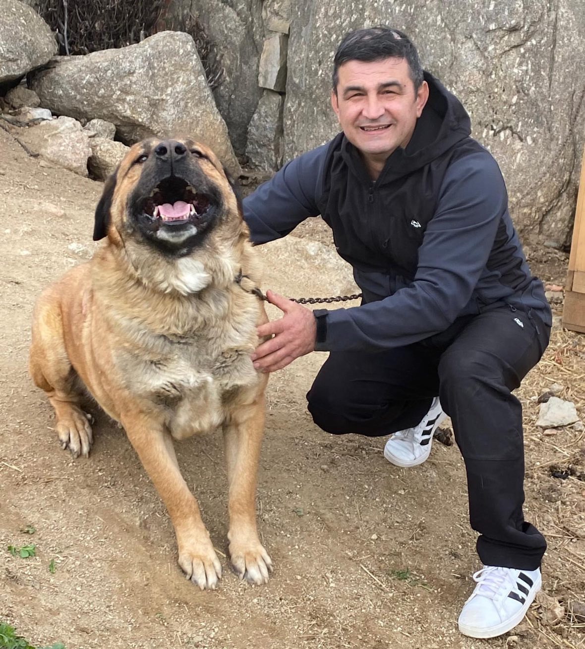 User-uploaded image 1