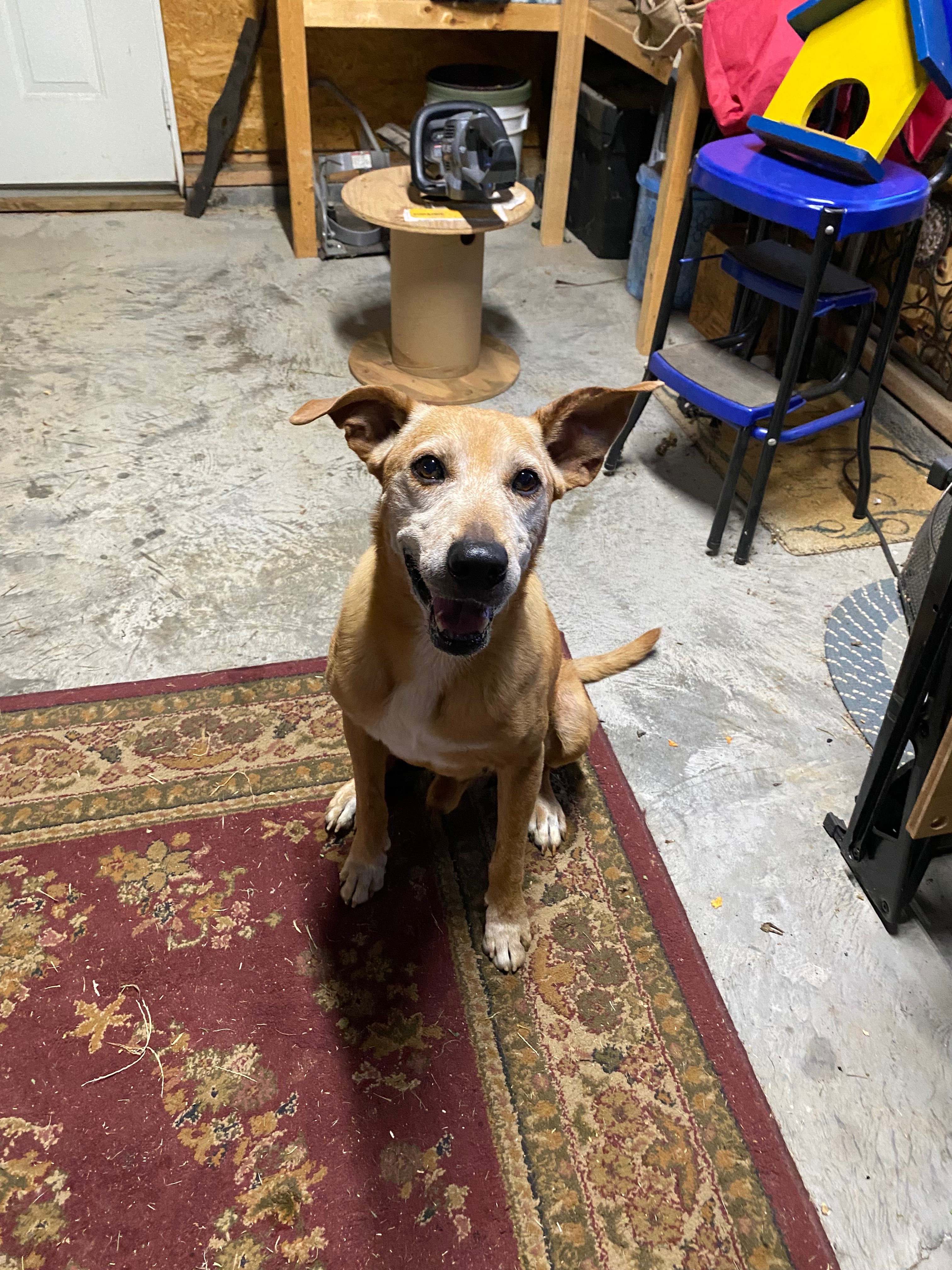 Frei is free, help him run campaign photo, 5 of 6