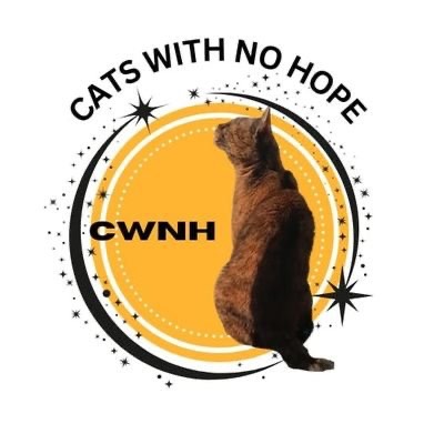 Urgent support for Cats With No Hope campaign photo, 4 of 5