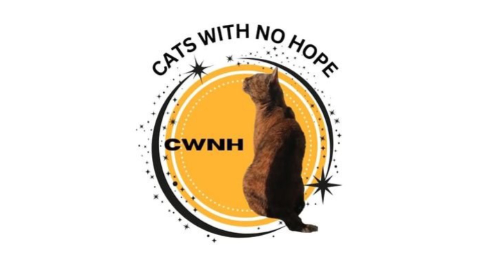 Urgent support for Cats With No Hope campaign photo, 2 of 5