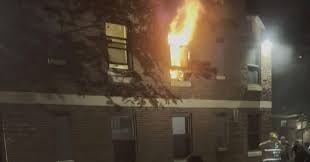 User-uploaded image 1