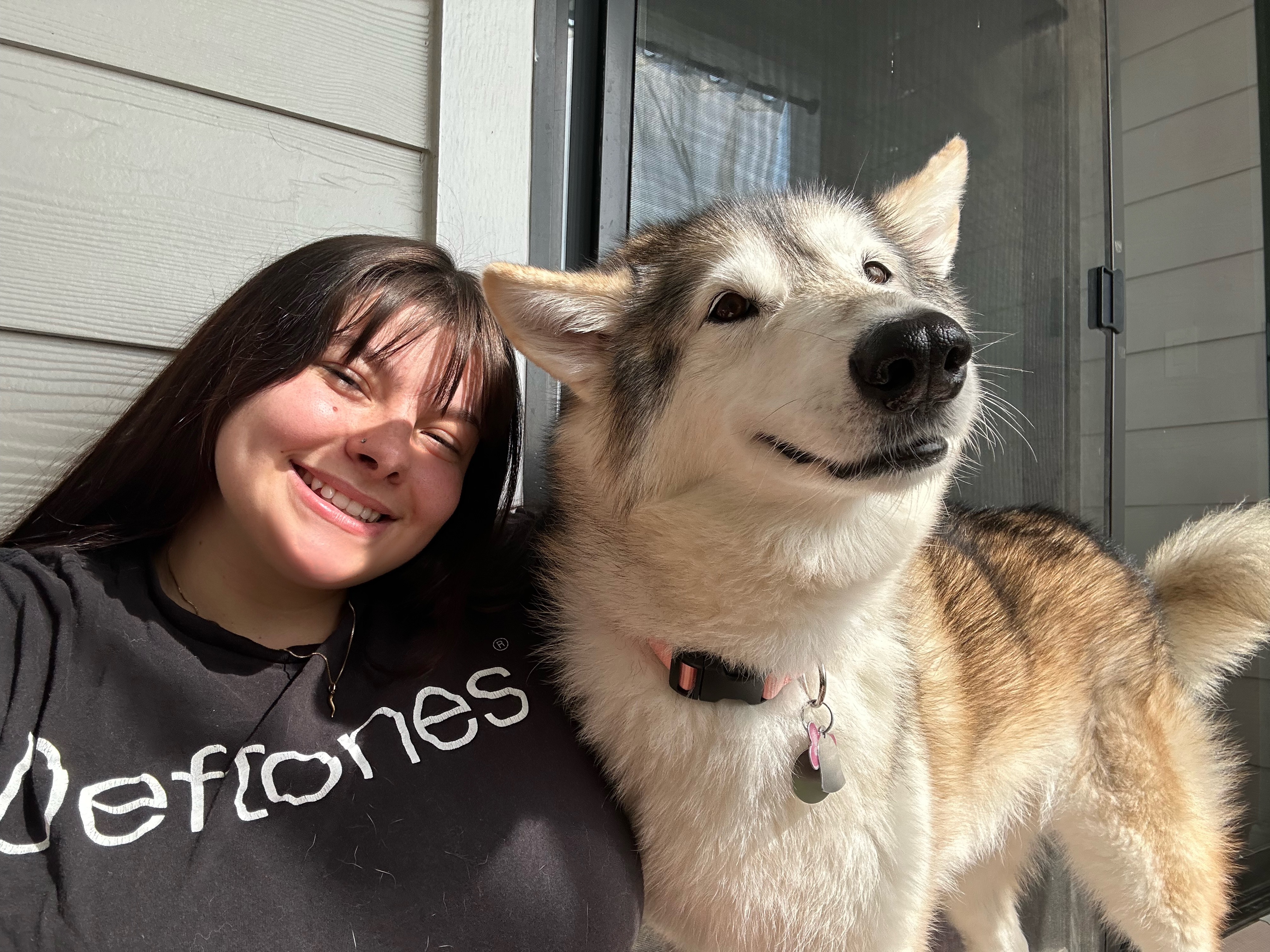 Help Kota May the gentle giant stay tumor free!! campaign photo, 4 of 6