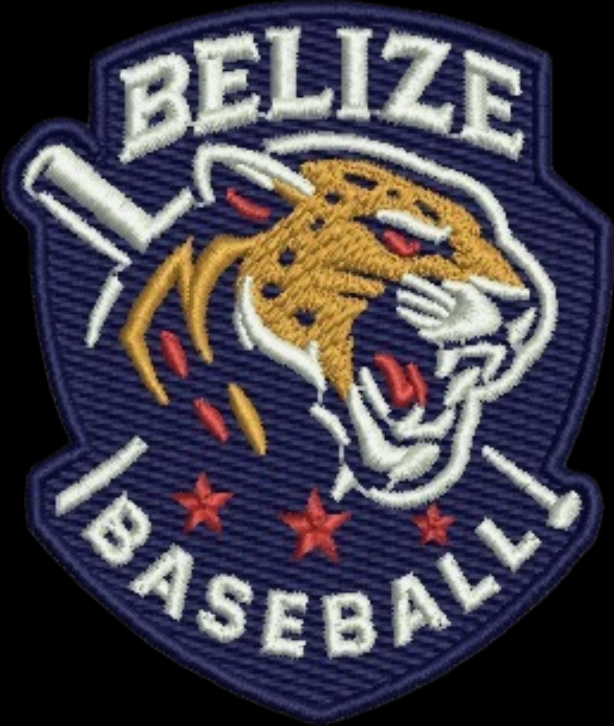Support Belize National Baseball Team's Journey campaign photo, 2 of 7