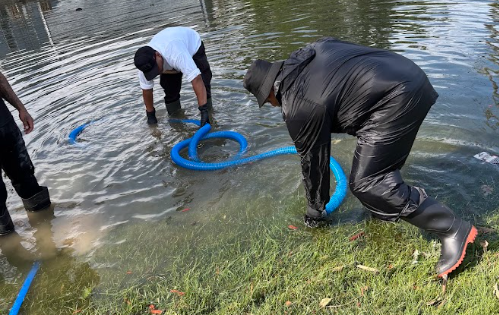 User-uploaded image 1