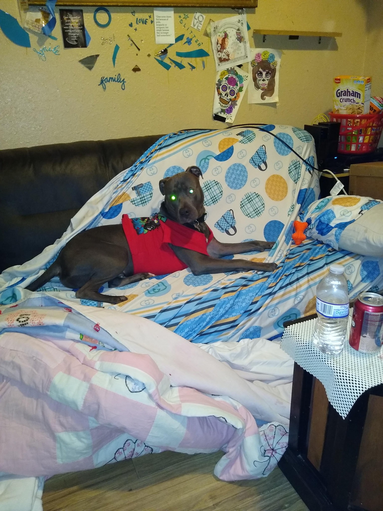 Help Dawn's Service Dog Batman Breathe Again campaign photo, 2 of 4