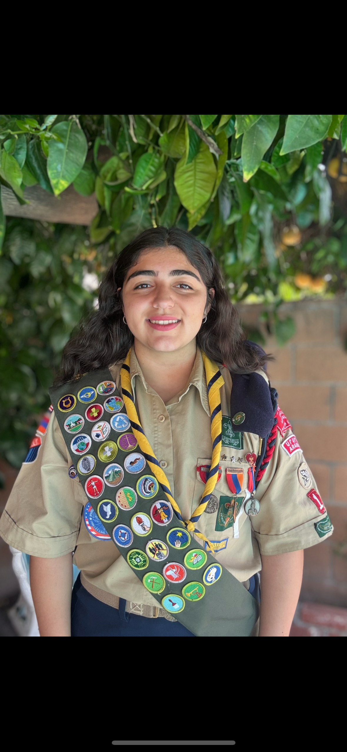 Lori Arissian's Eagle Scout Project: Mural of Baruyr Sevak campaign photo, 2 of 6