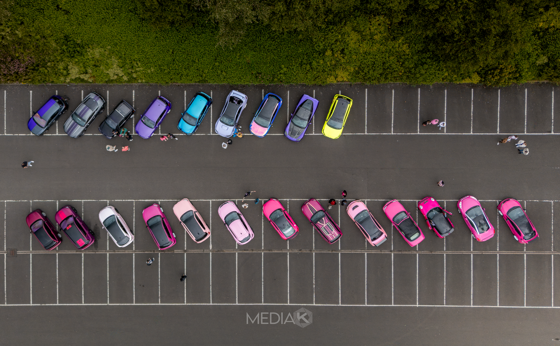 Team Purple – Cars for Breast Cancer & Lupus Awareness campaign photo, 2 of 6