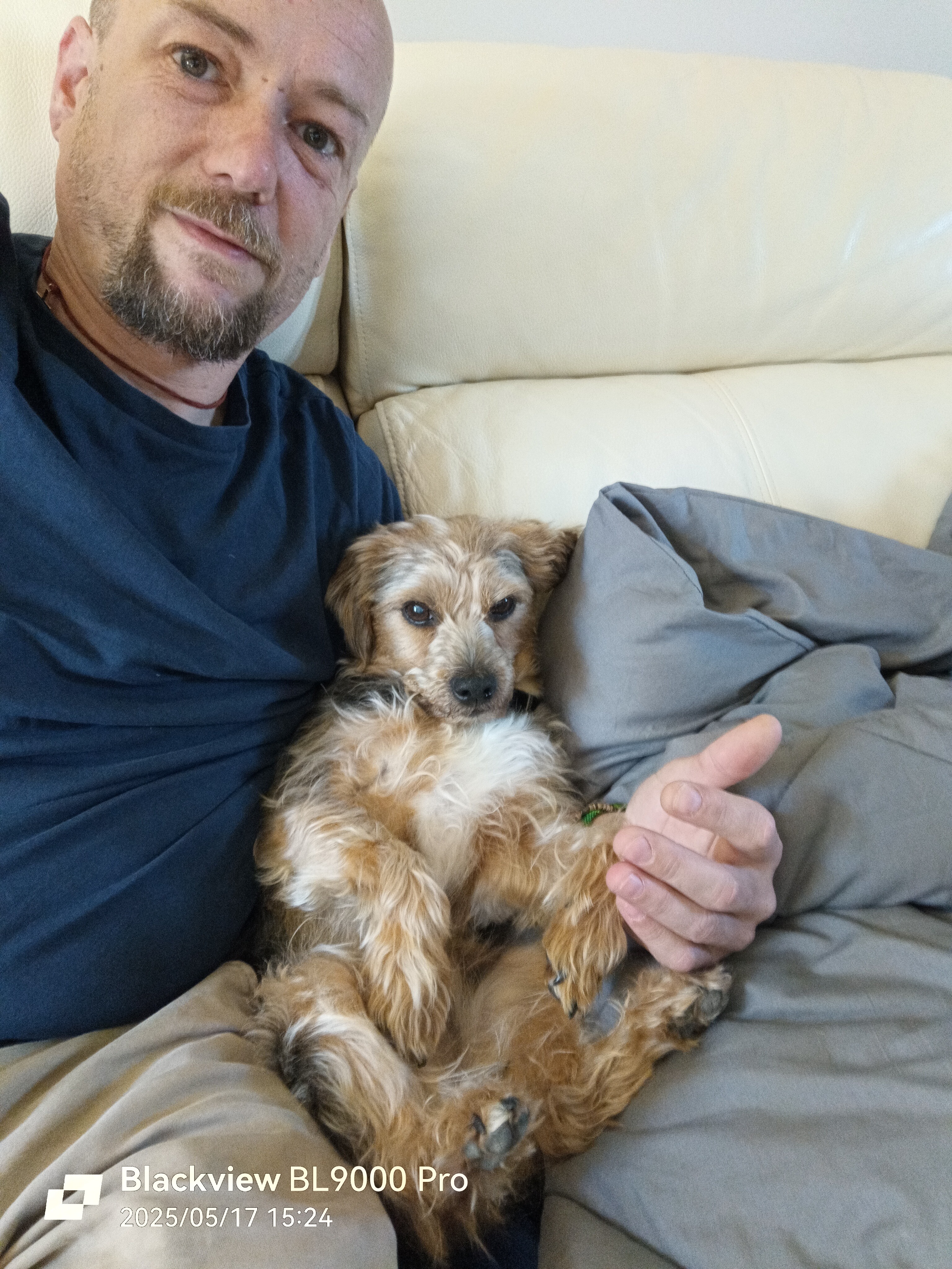 Help Billy the cross terrier see again, please! campaign photo, 2 of 7