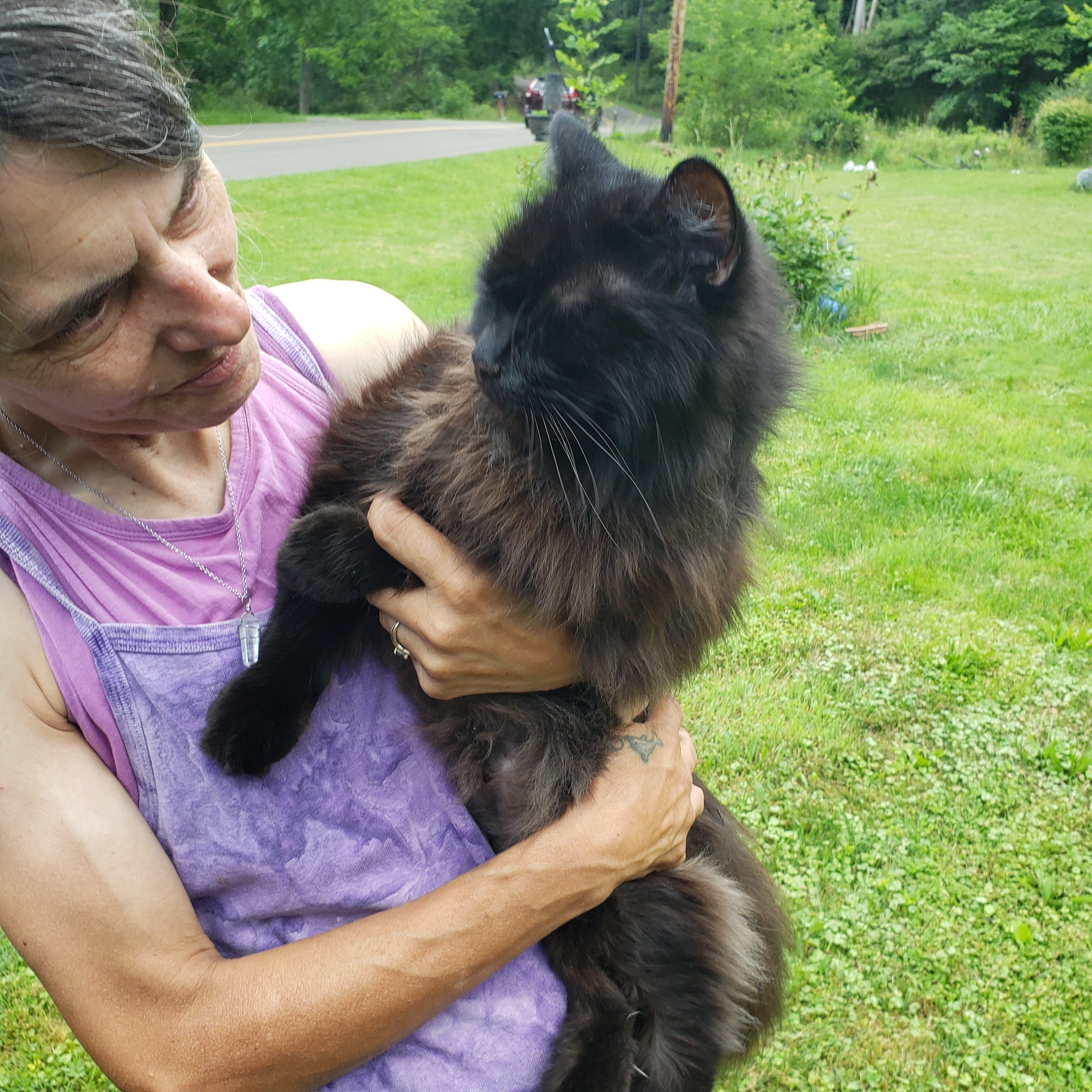 Help Shari Mills Support a Family in Crisis campaign photo, 4 of 5