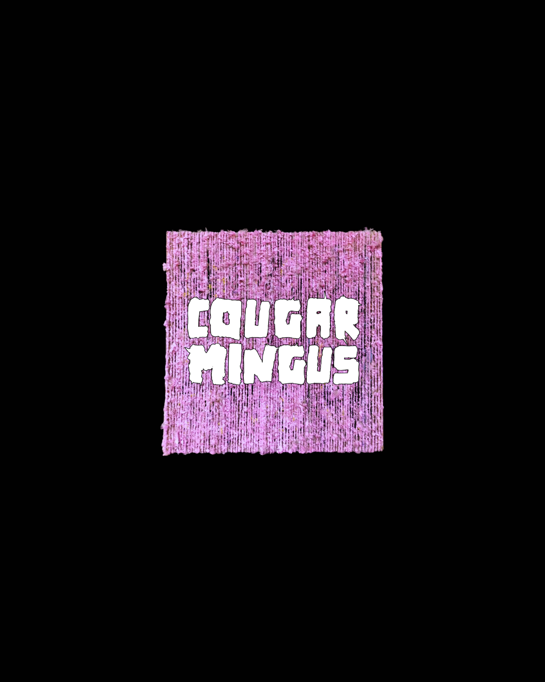 Cougar Mingus EP campaign photo, 5 of 7